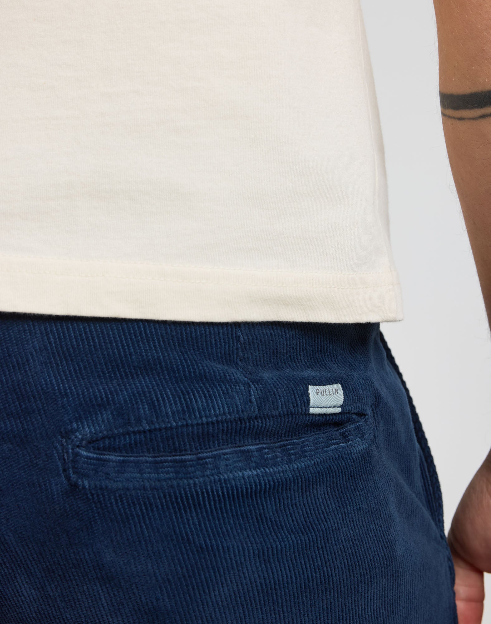 PANTALON CHINO VELOURS ROYROMA
