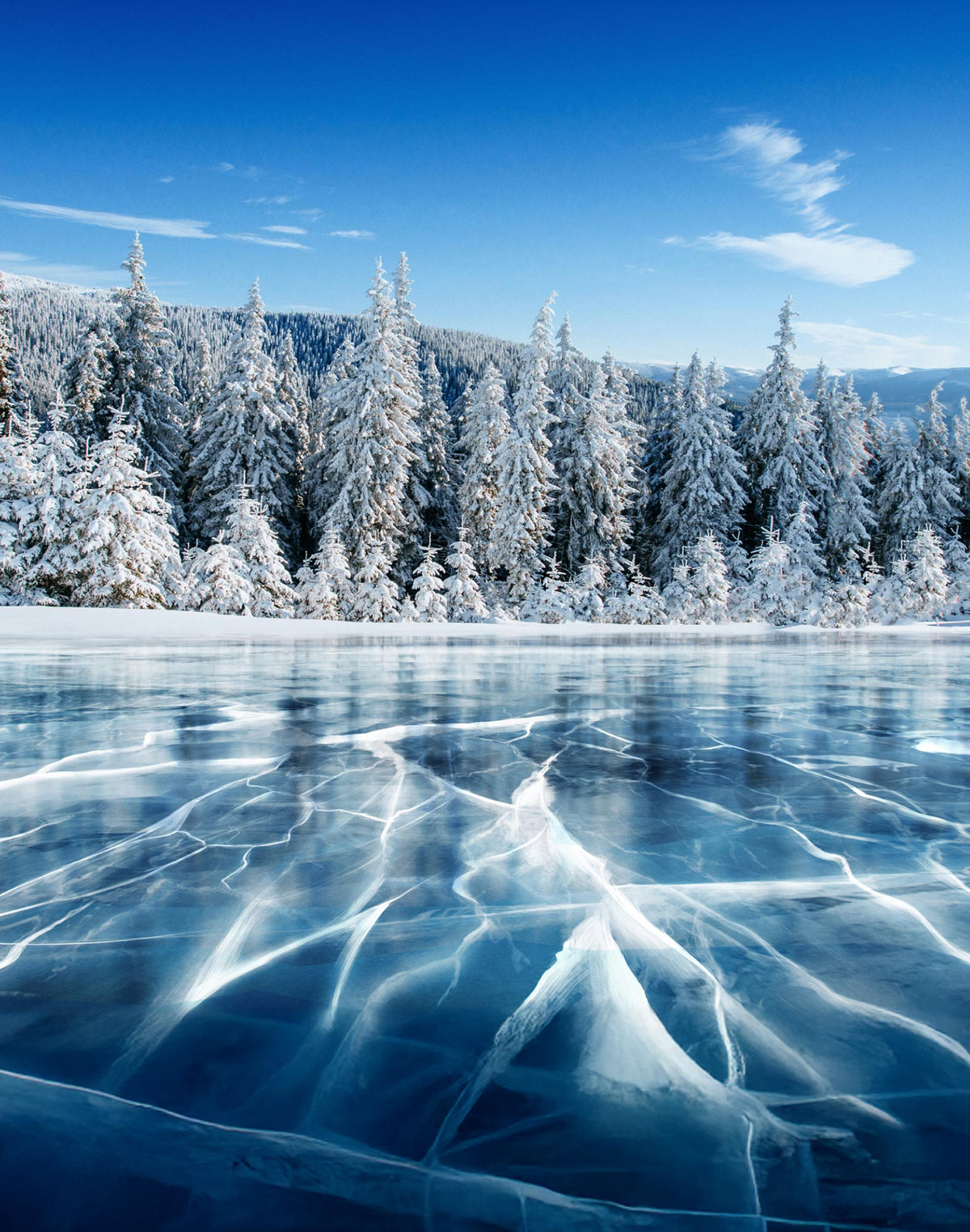 Långa kalsonger ICERINK