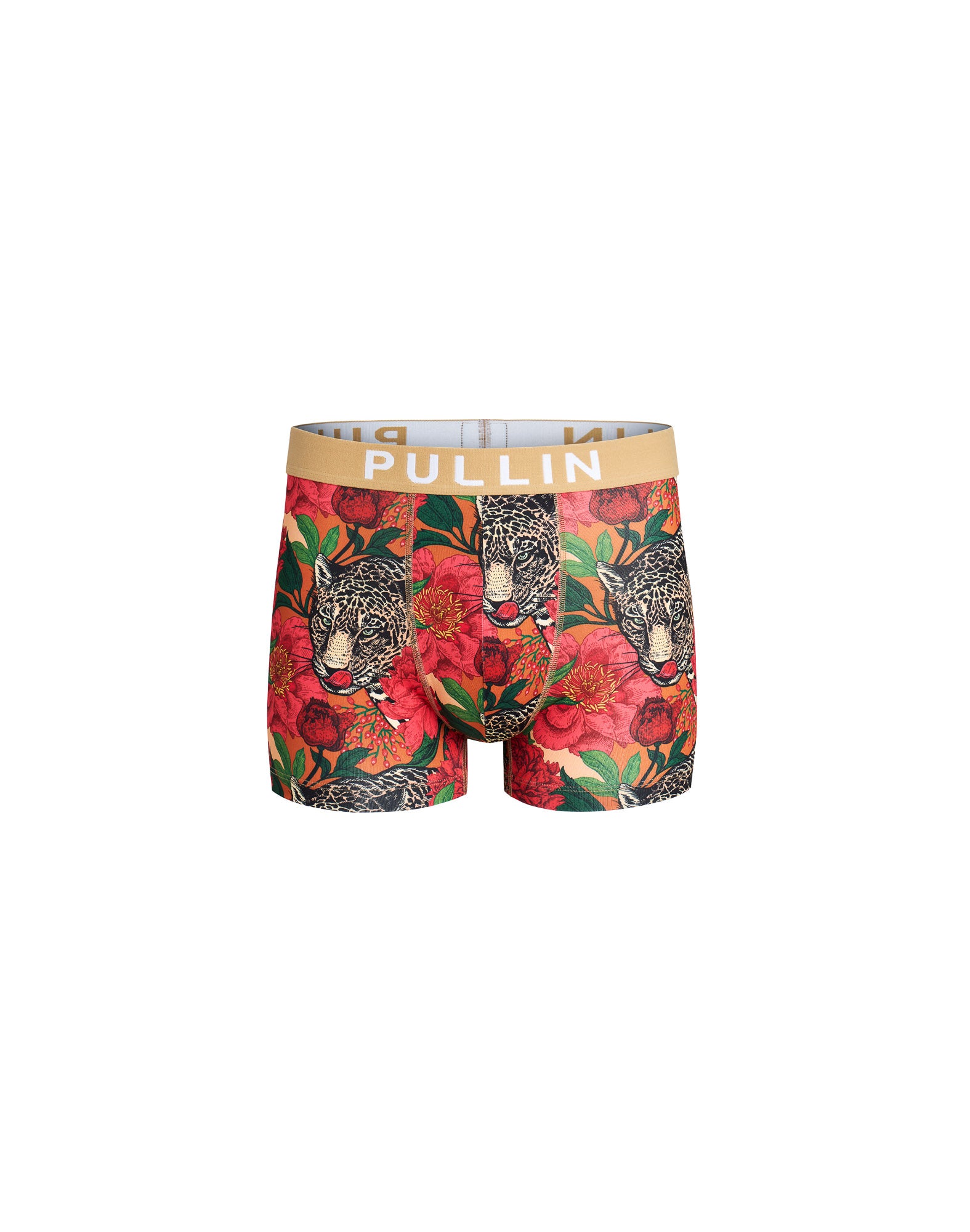 BOXER COURT BAGERA