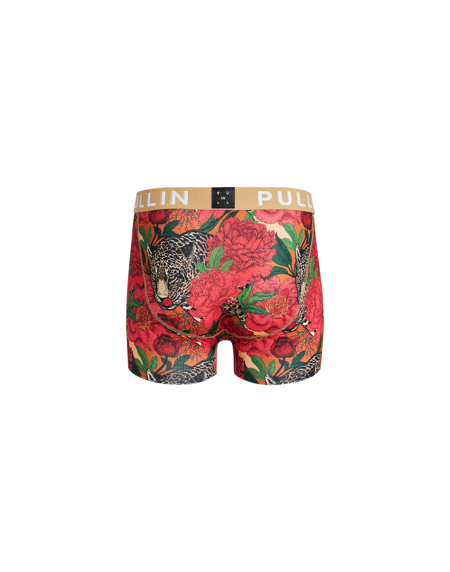 BOXER COURT BAGERA