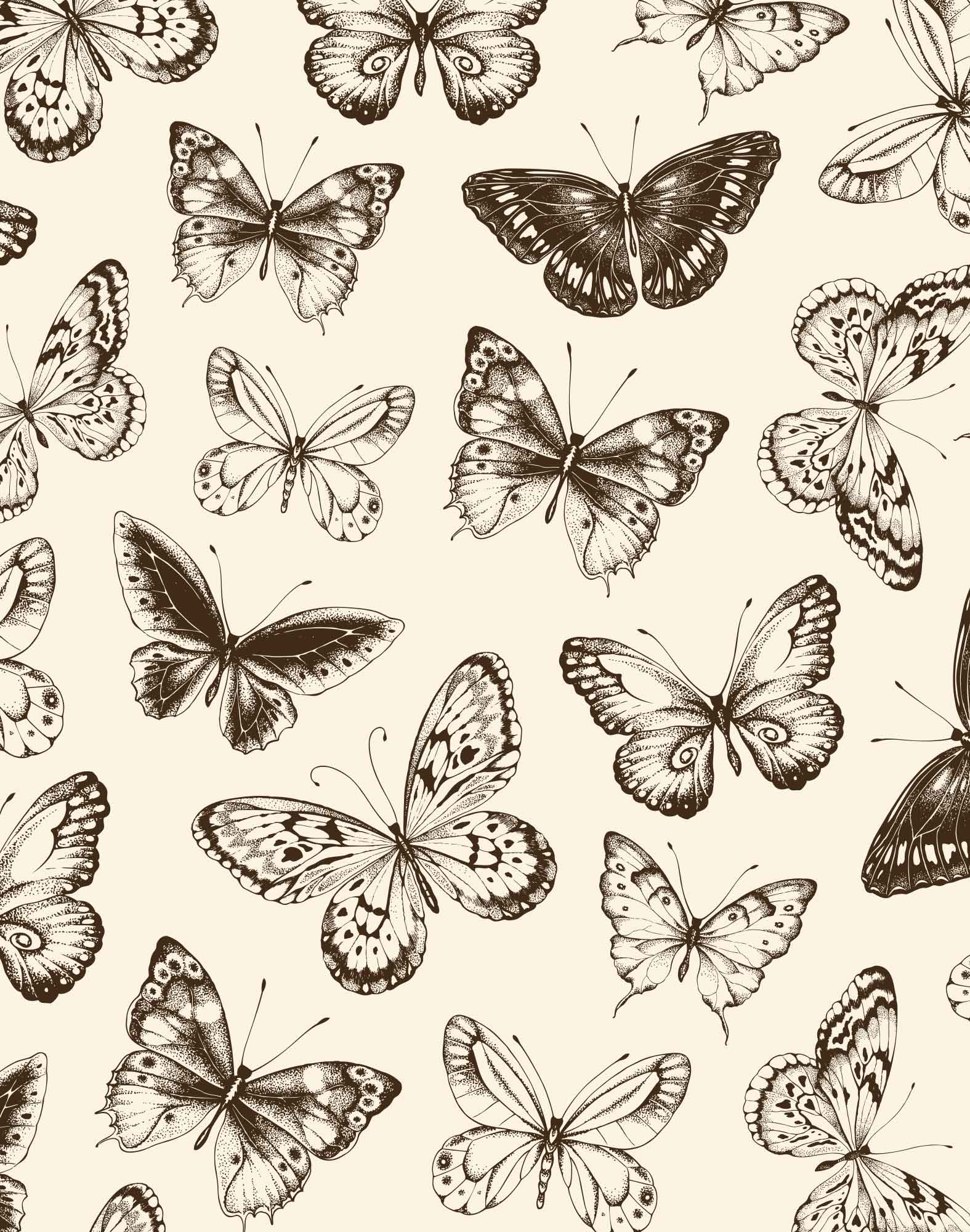 Boxer COURT BUTTERFLY