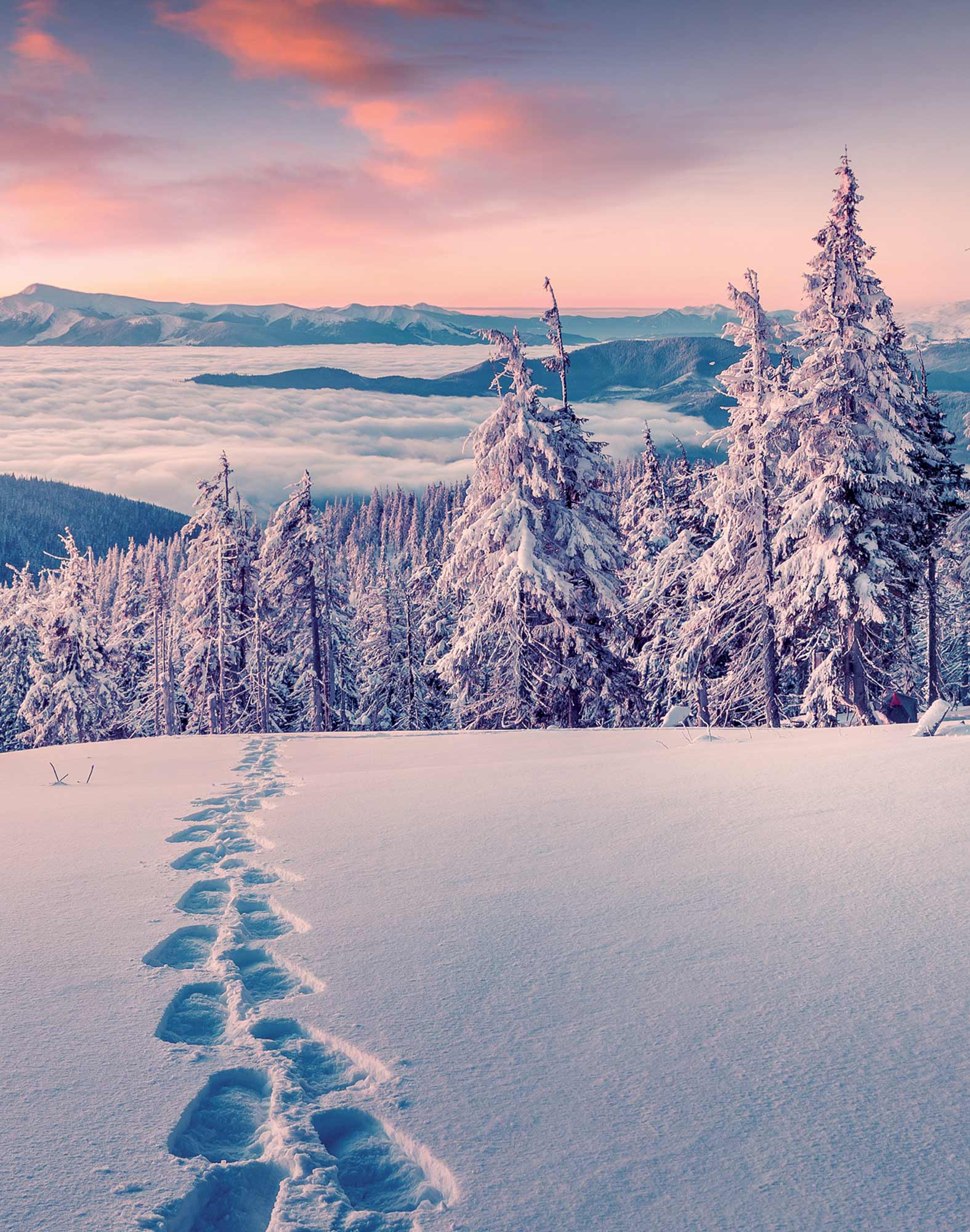 beanie footstep PULLIN en polyester