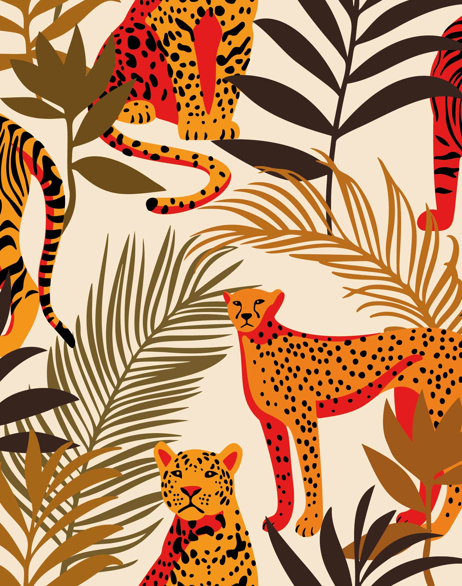 bob leo PULLIN en coton