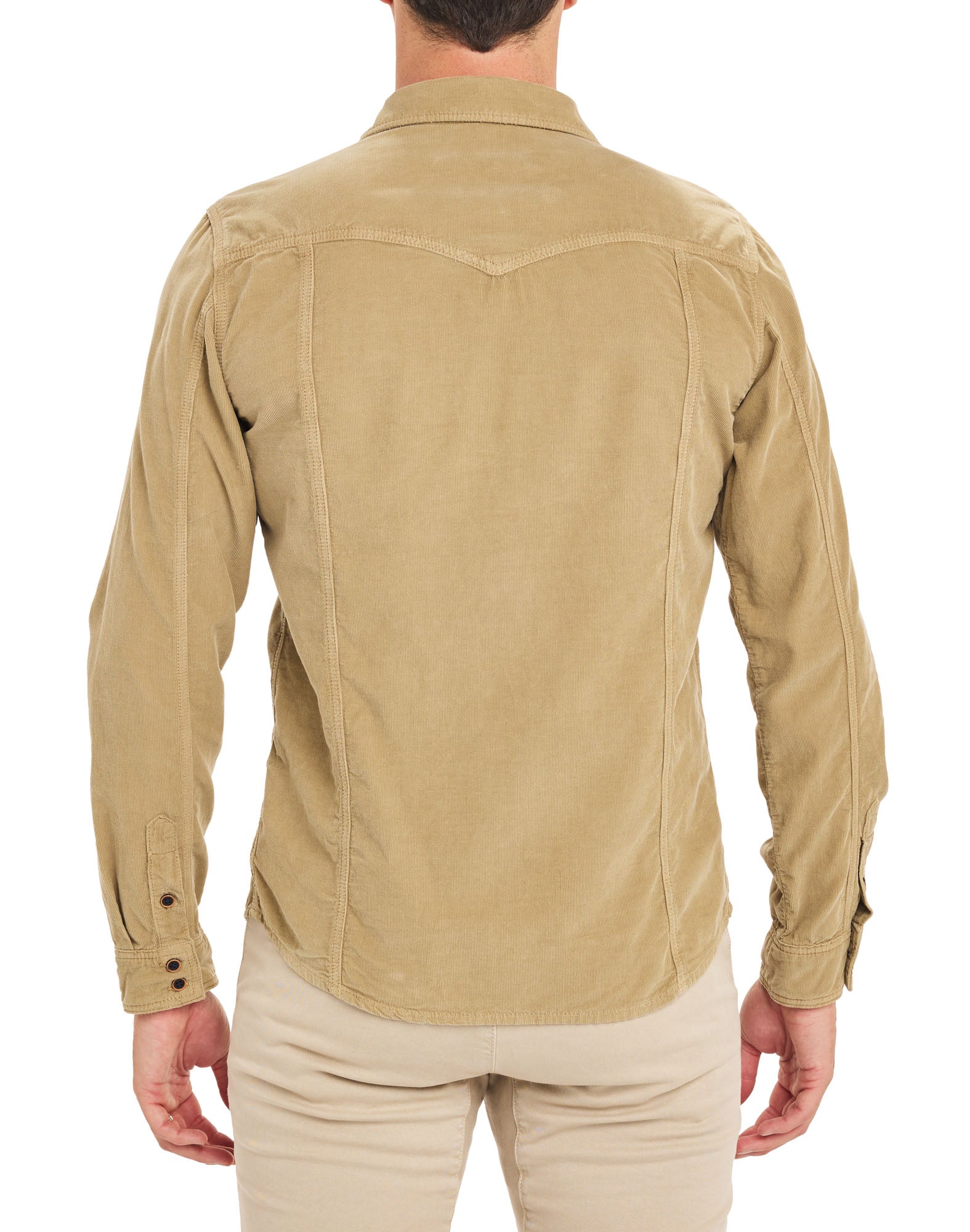 chemise velours beige PULLIN en coton