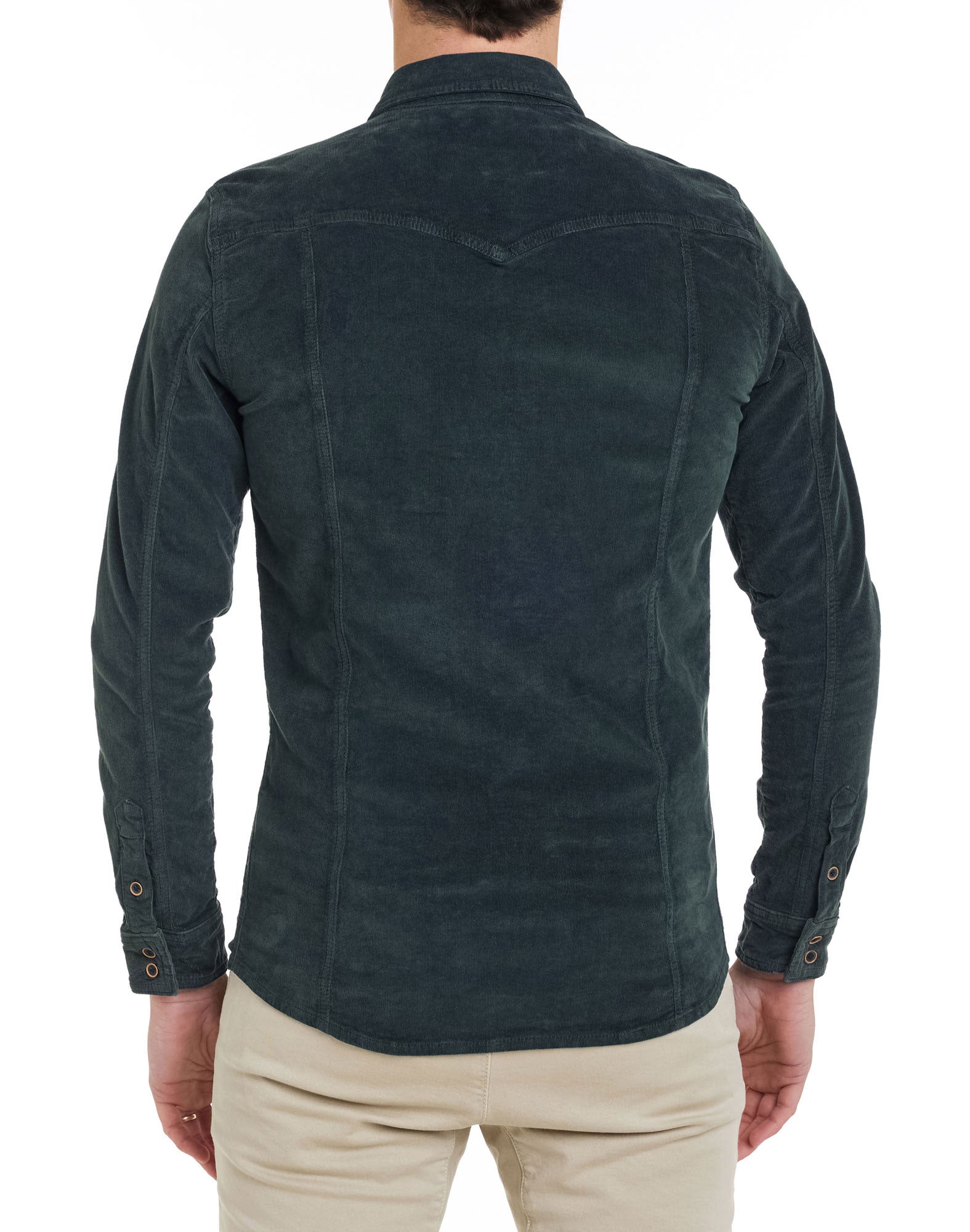 chemise velours darkforest PULLIN en cotton