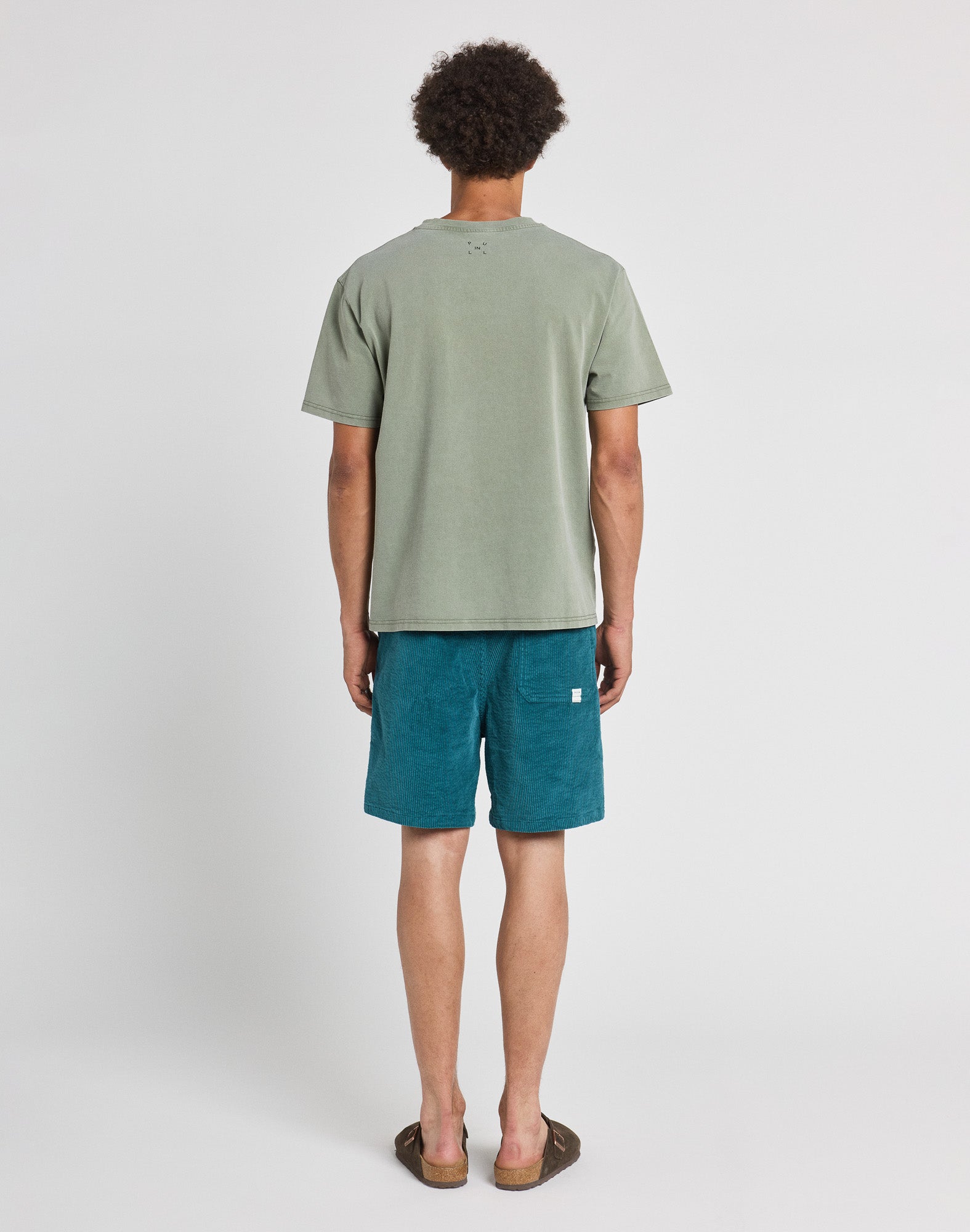 dening short beach royduck PULLIN