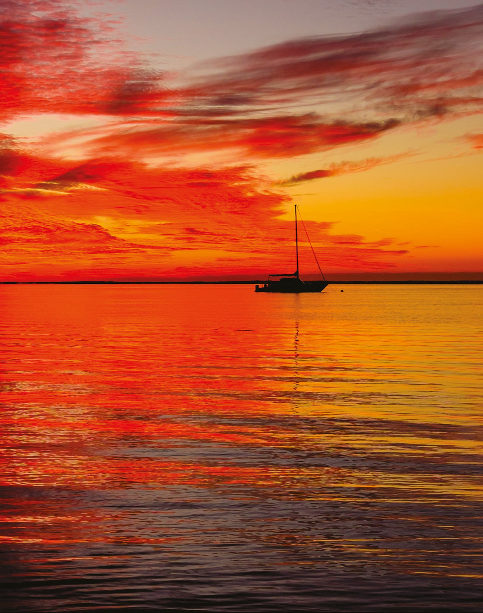 boxer long alone PULLIN en lycra