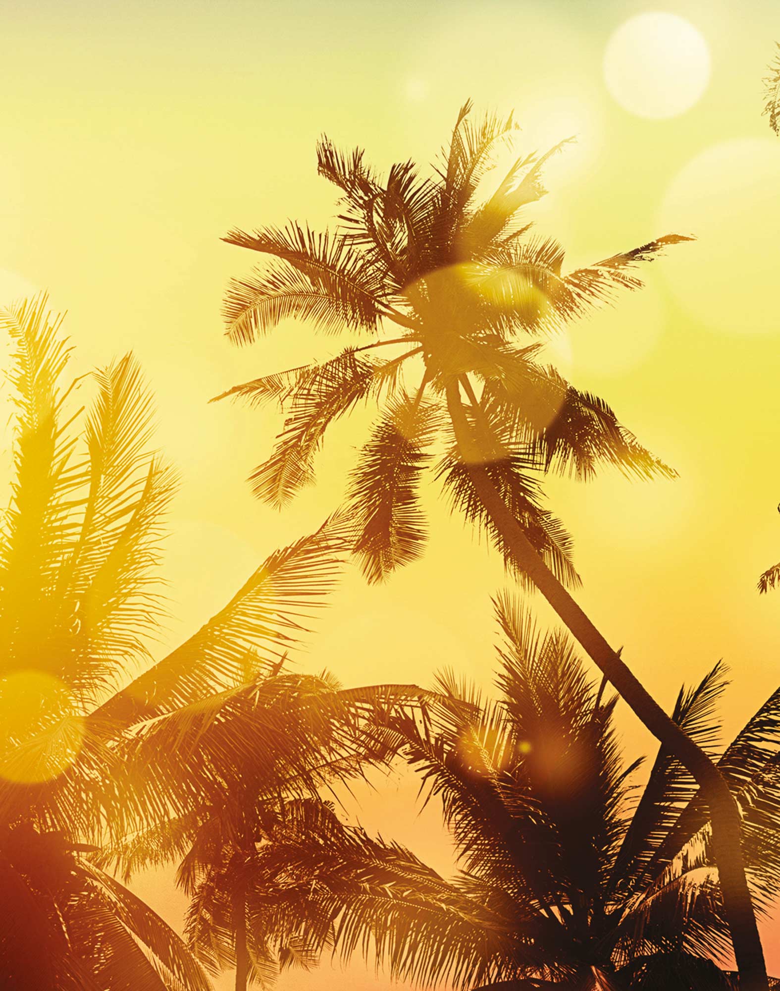 boxer long baia PULLIN en lycra