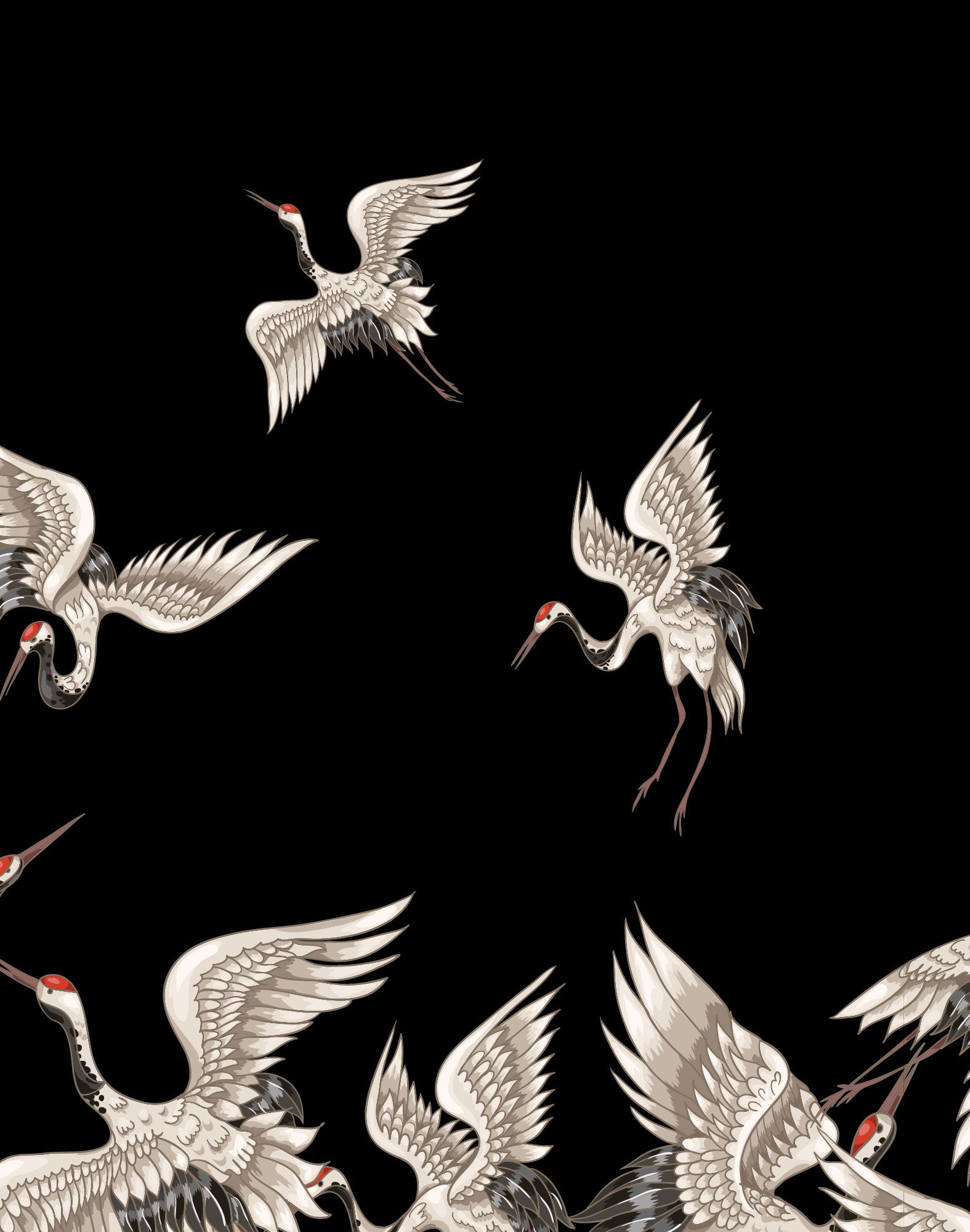 boxer long birdsss PULLIN en lycra