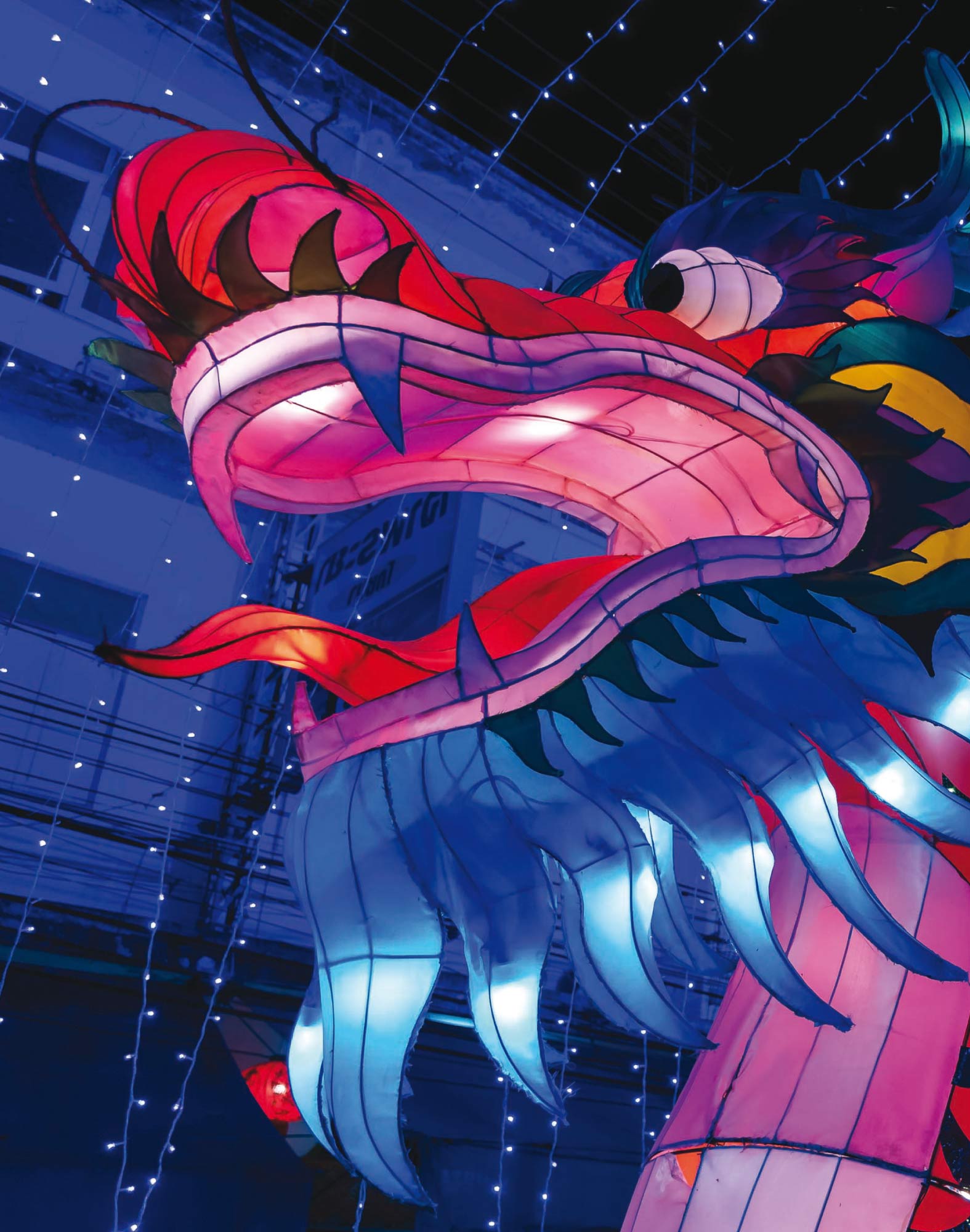 boxer long bluedragon PULLIN en lycra