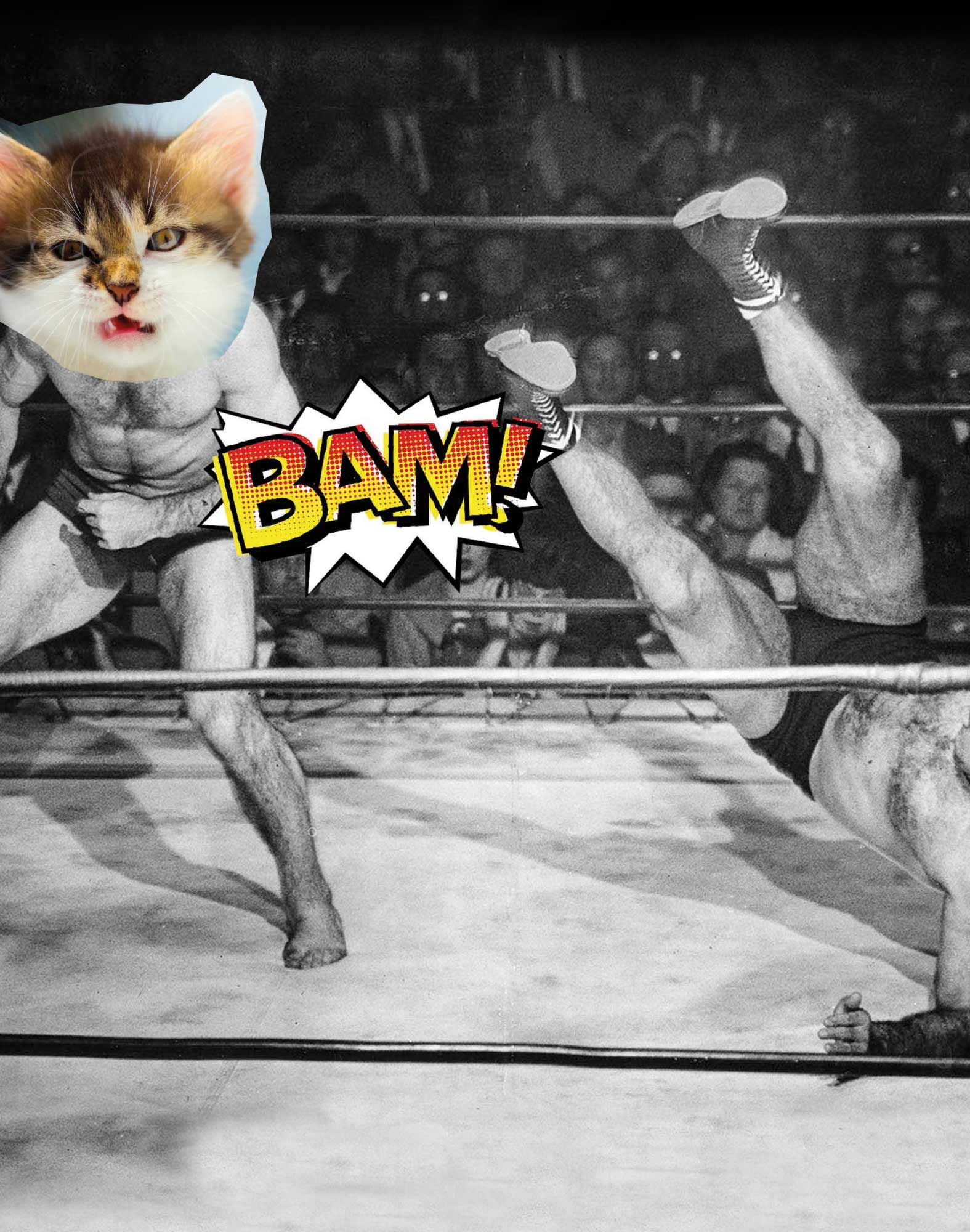 boxer long catmenace PULLIN en lycra