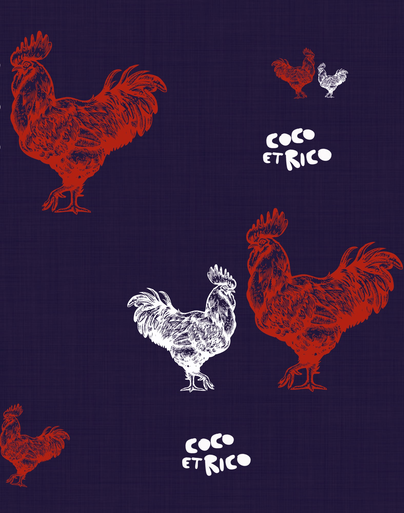 boxer long cocoetricobleu PULLIN