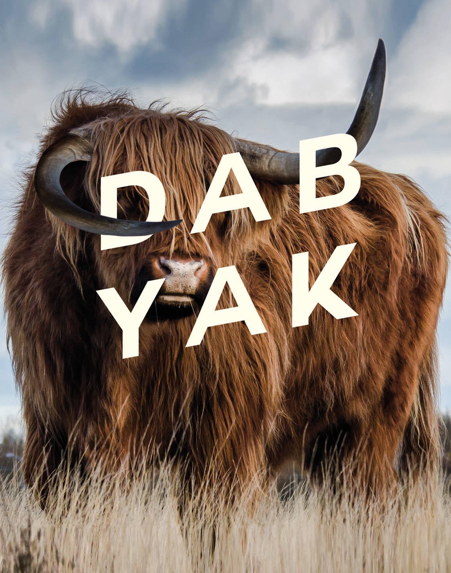 boxer long dabyak PULLIN en polyester