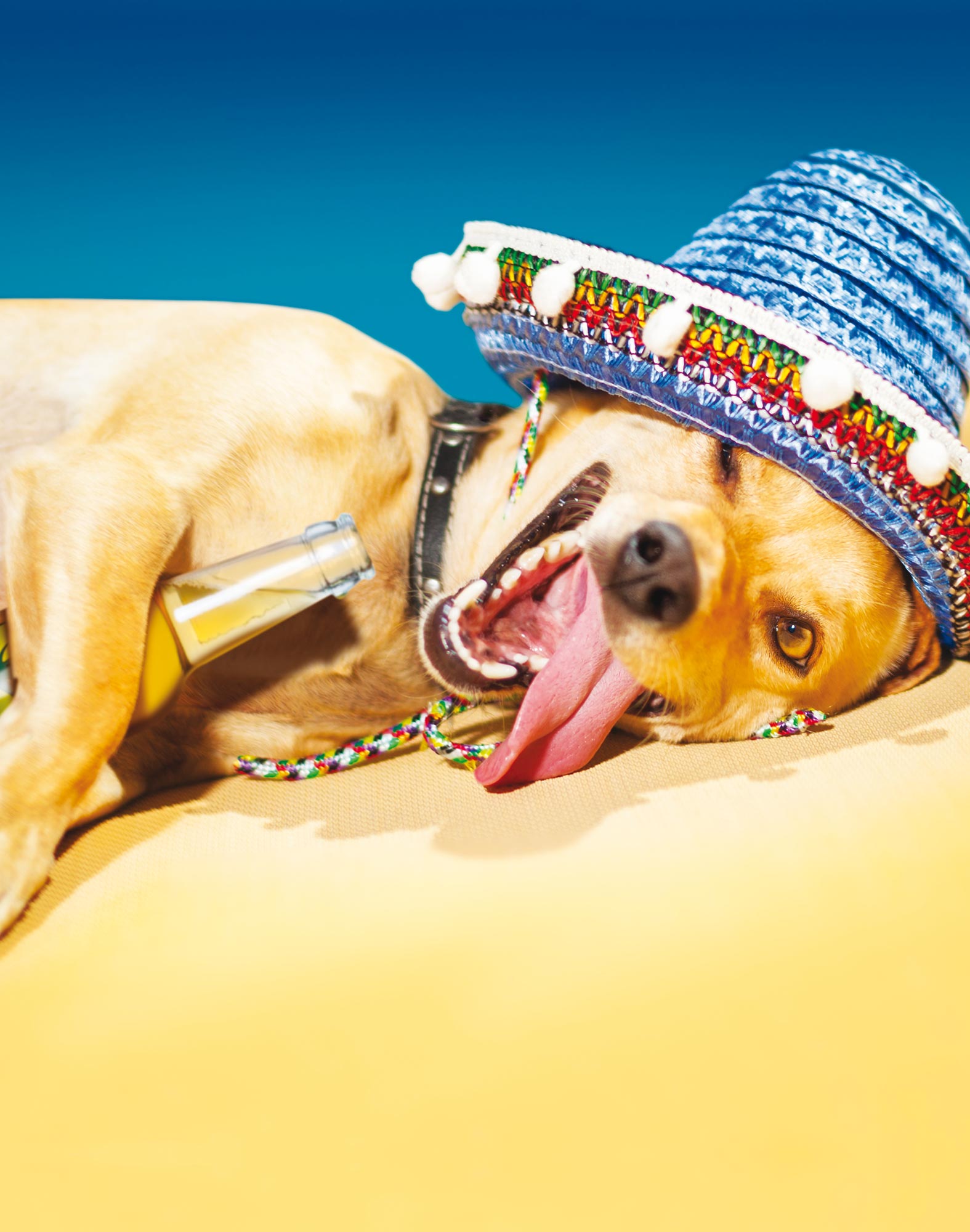 boxer homme long doggybeer PULLIN en lycra