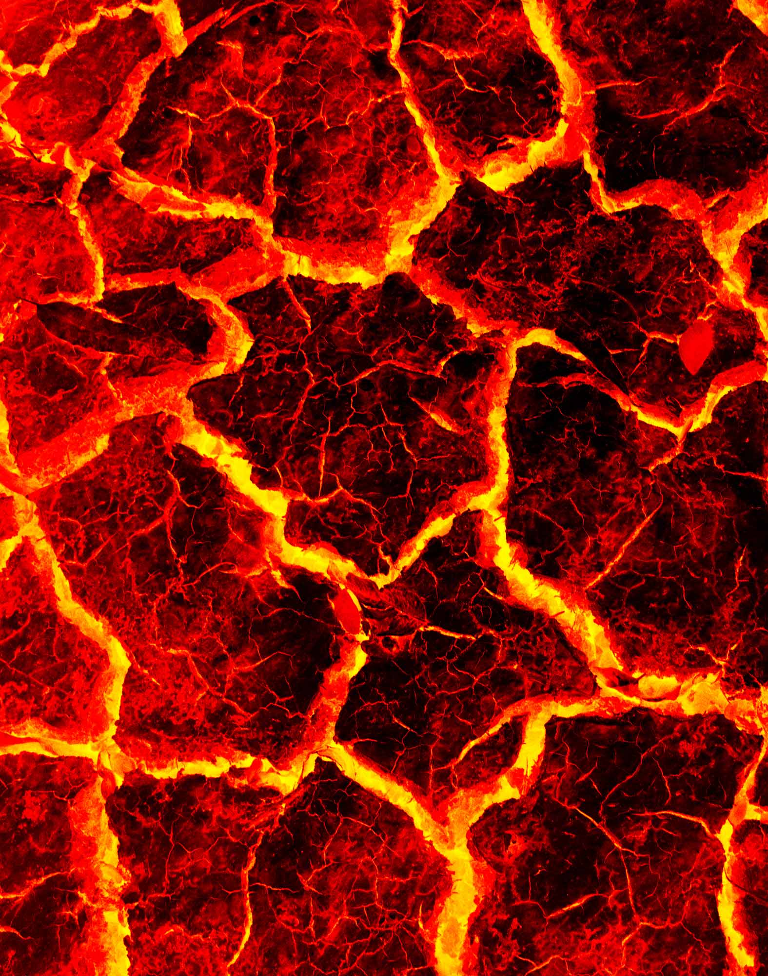 boxer homme long hoter PULLIN en lycra