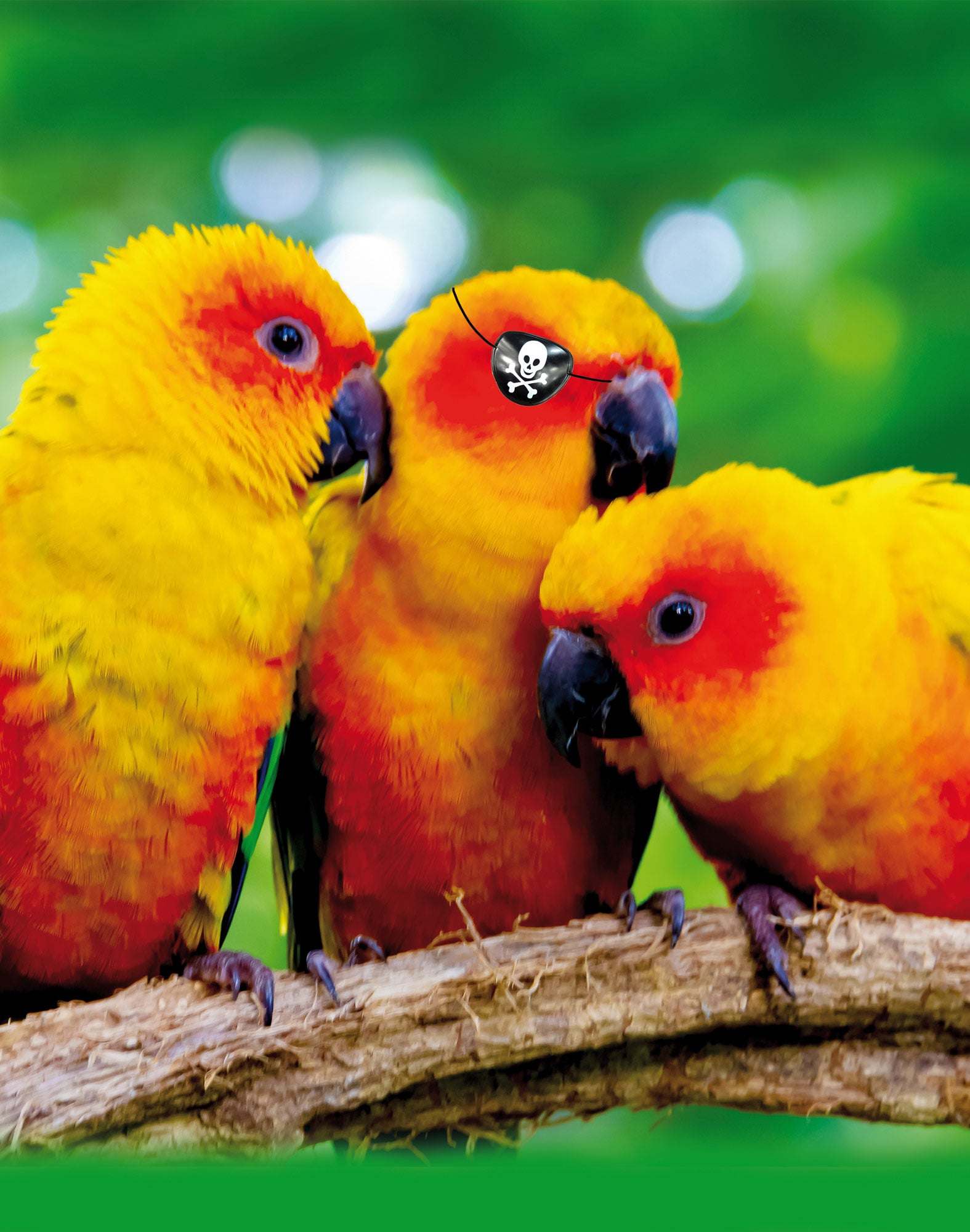 boxer long kiki PULLIN en polyester