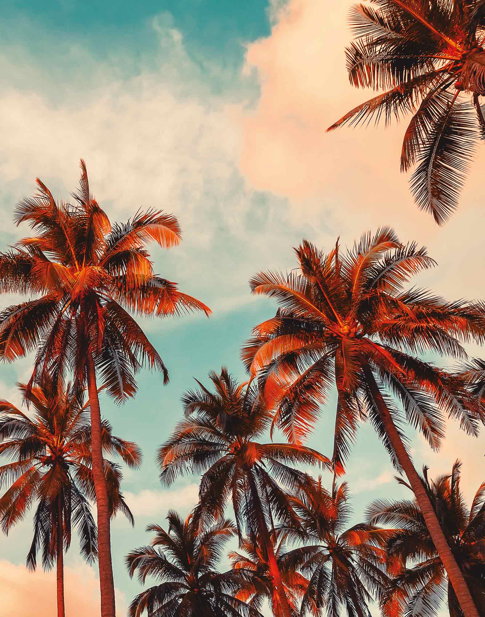 boxer long logcabins PULLIN en lycra