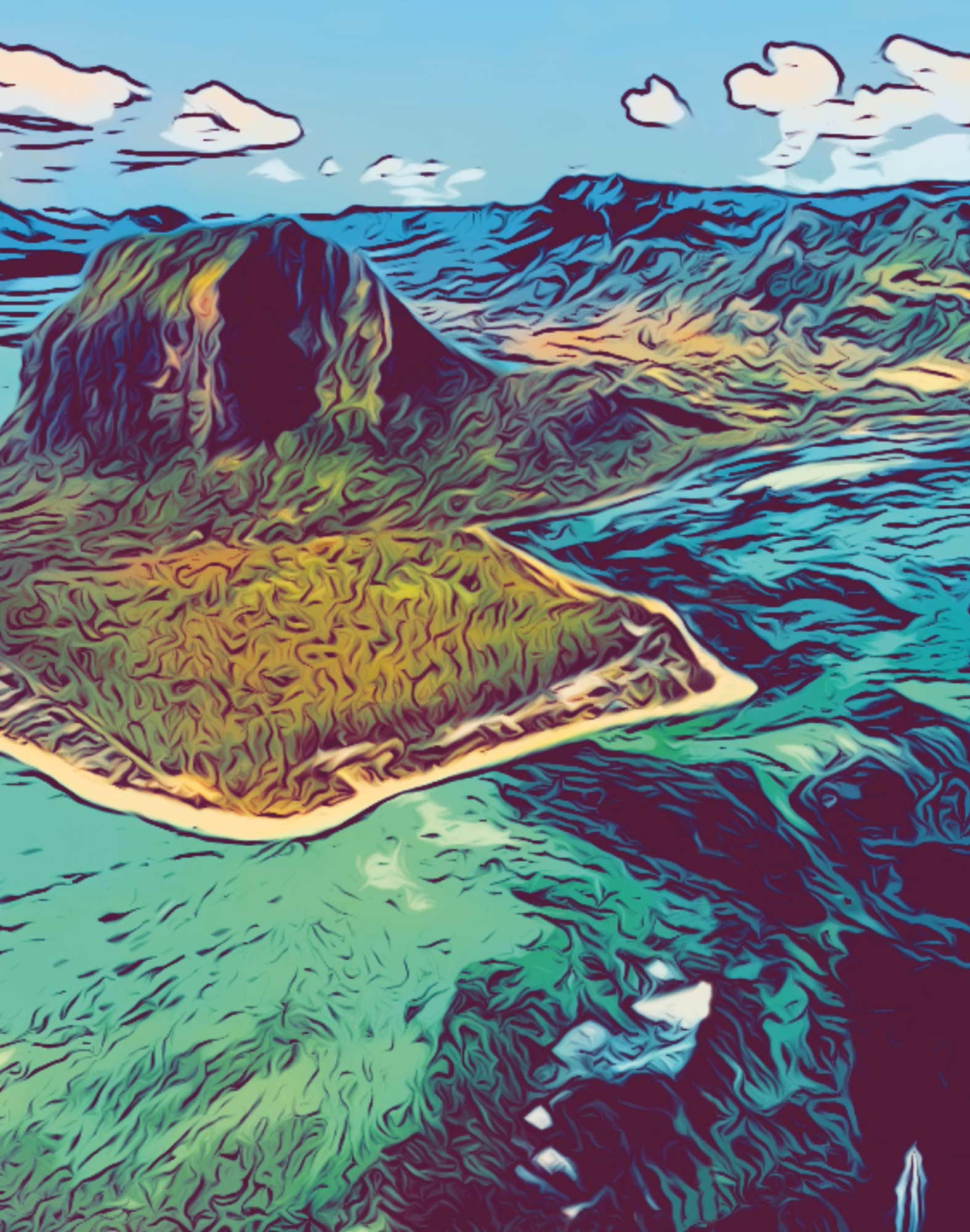 boxer long ltd mauritius19 PULLIN en lycra