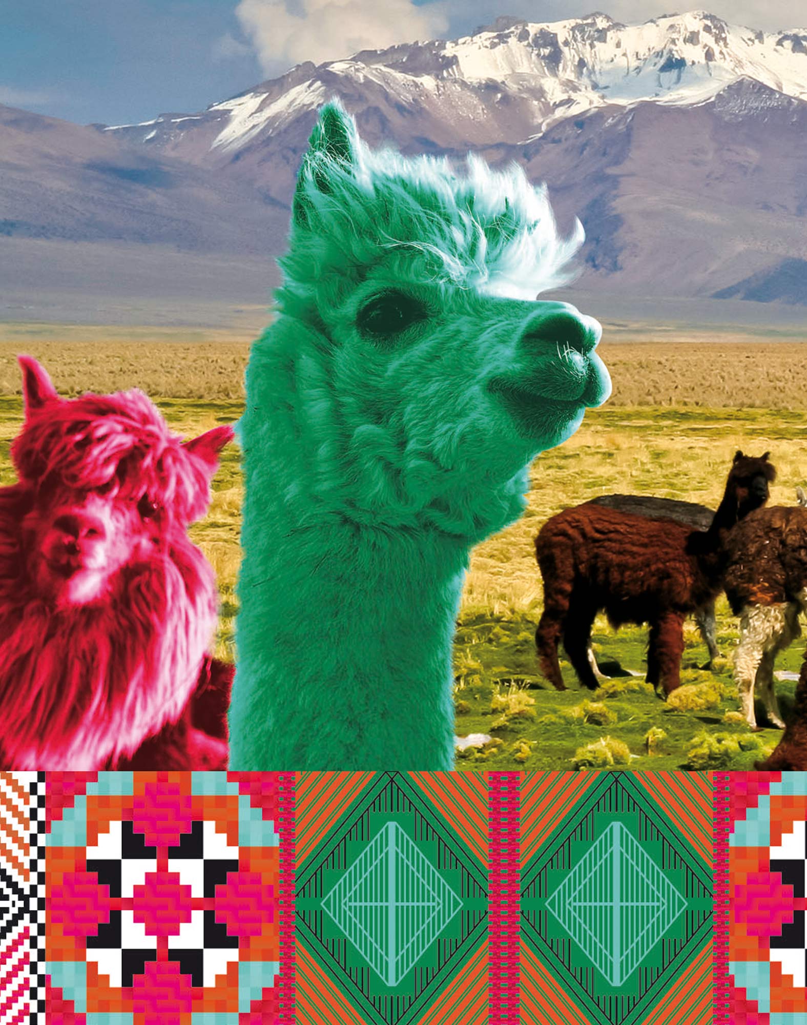 boxer long machu PULLIN en polyester