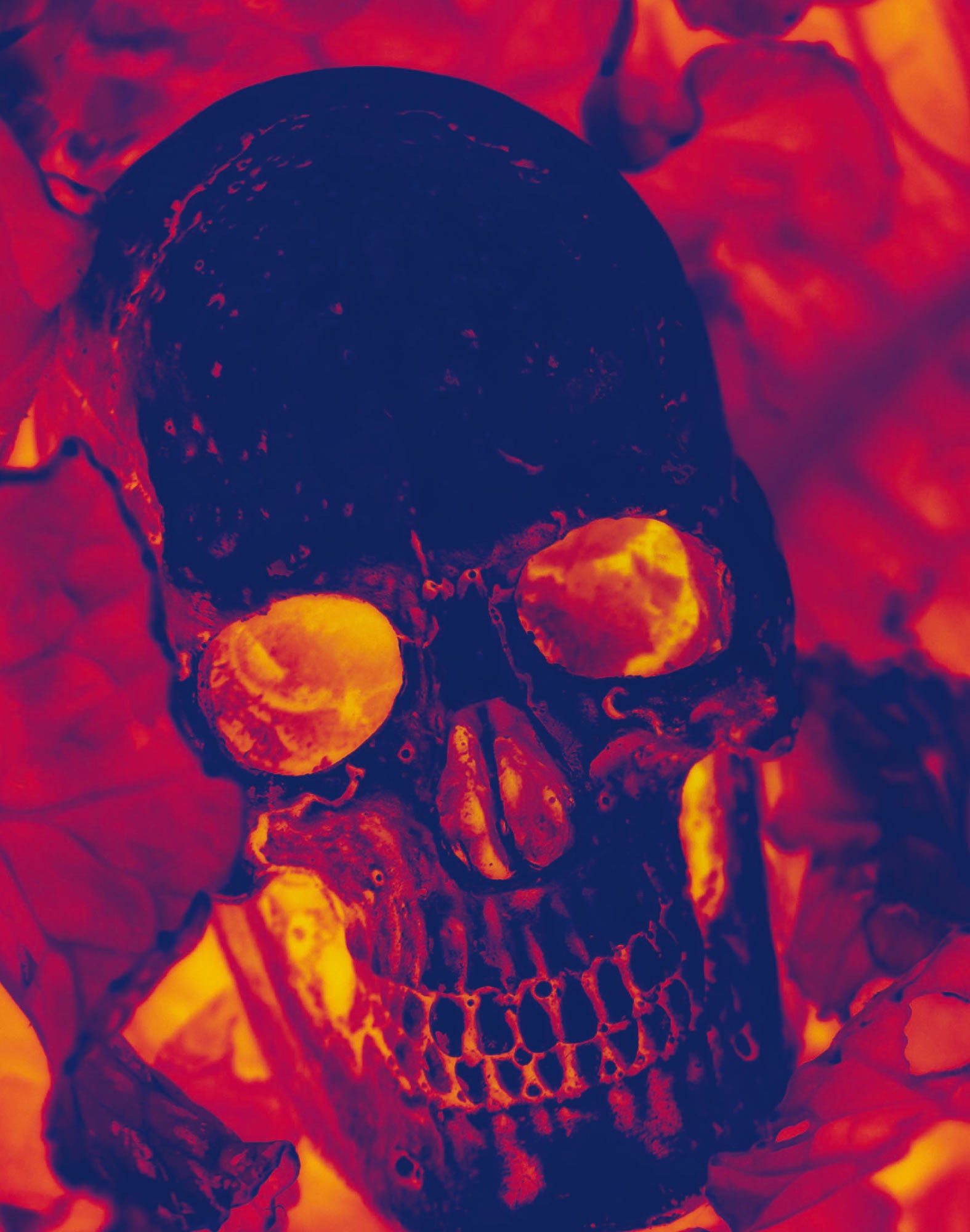 boxer long skullpurpl PULLIN en lycra