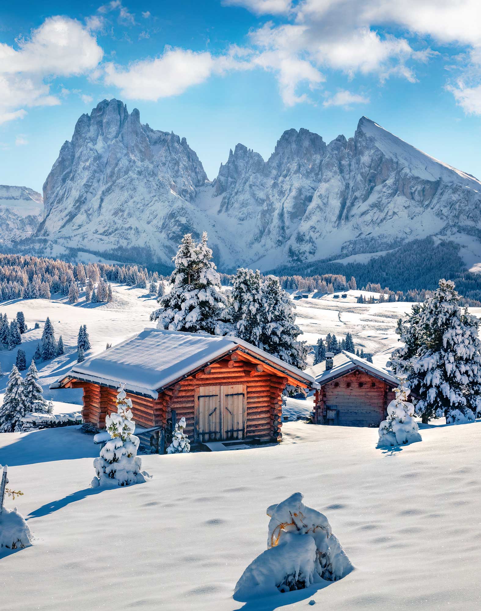 boxer homme long snowby PULLIN en lycra