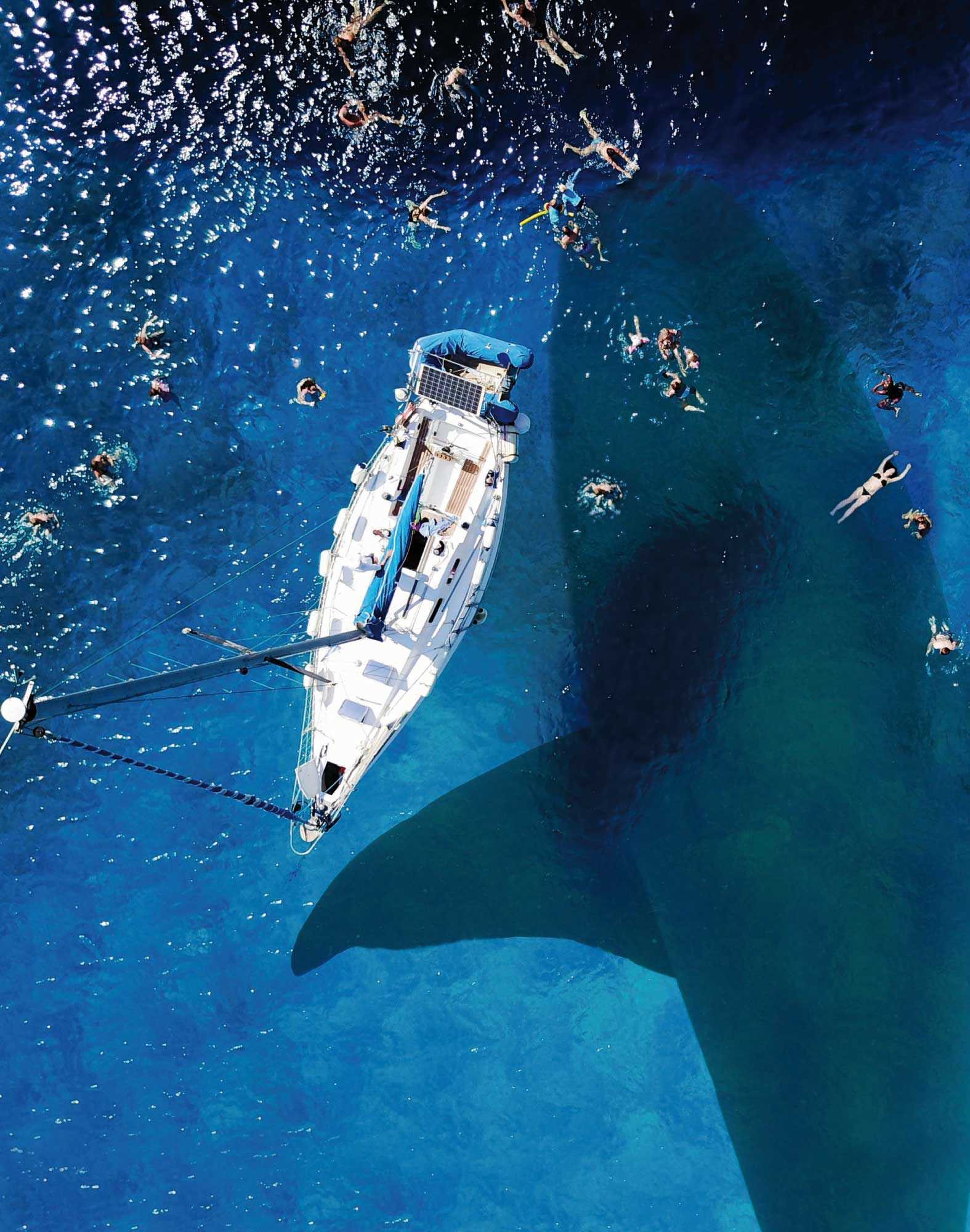 boxer long squale PULLIN en lycra