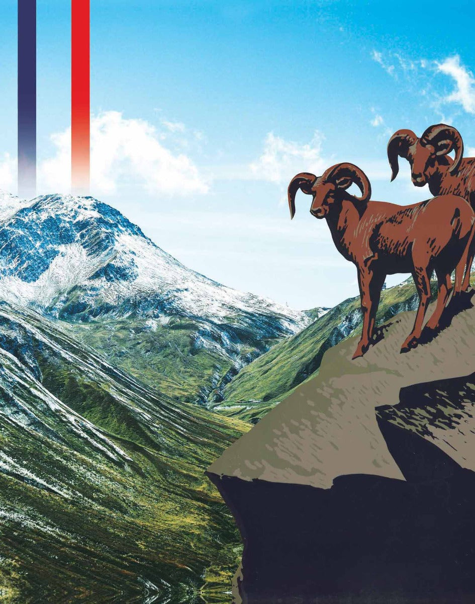 boxer long valley PULLIN en lycra