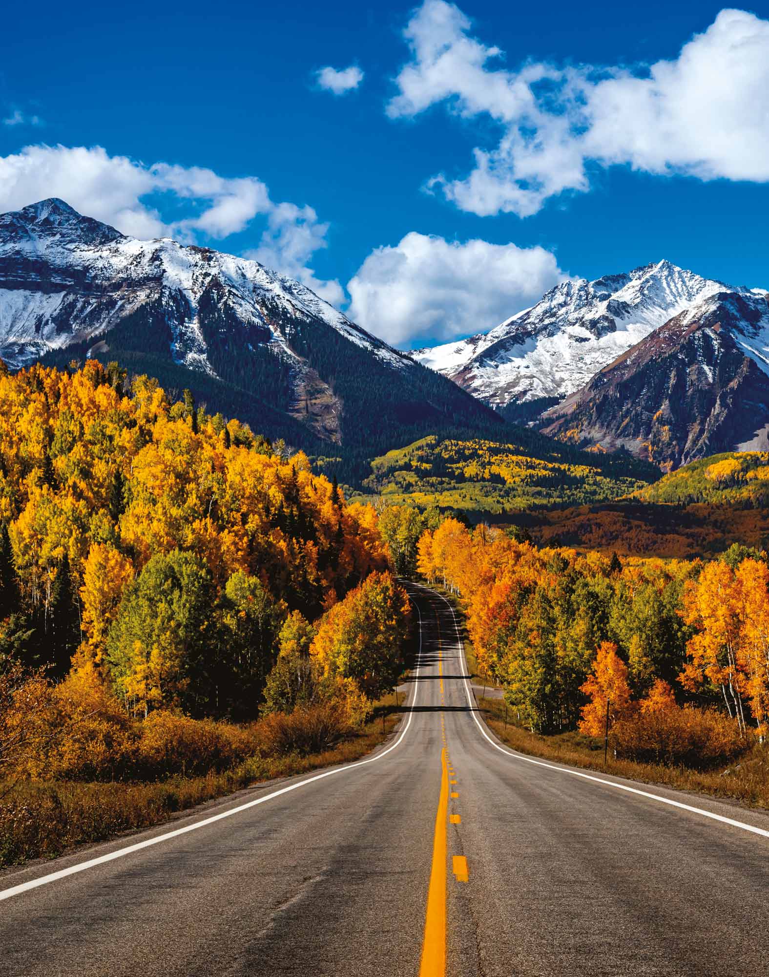 boxer long view PULLIN en lycra