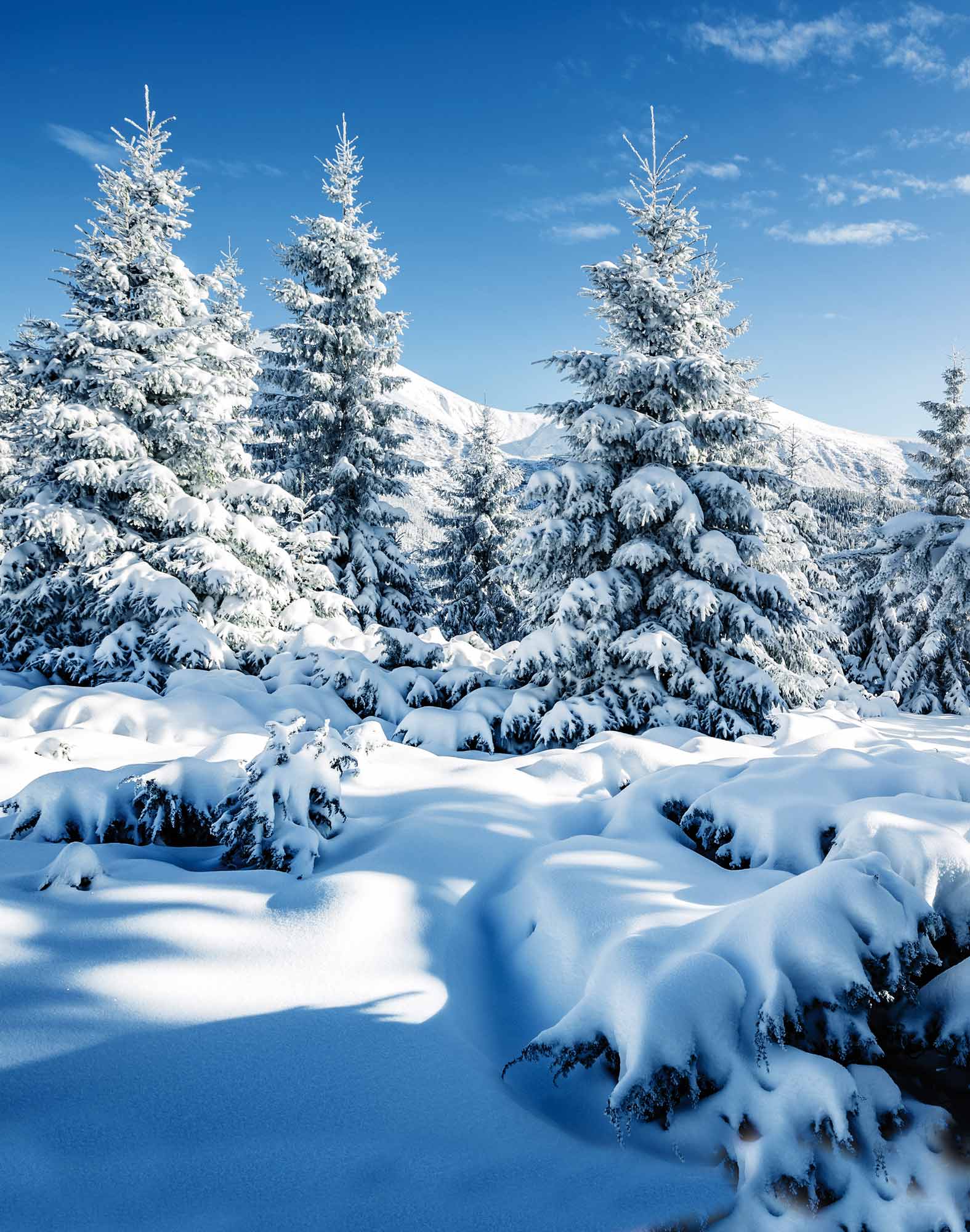 boxer long winterlove PULLIN en polyester