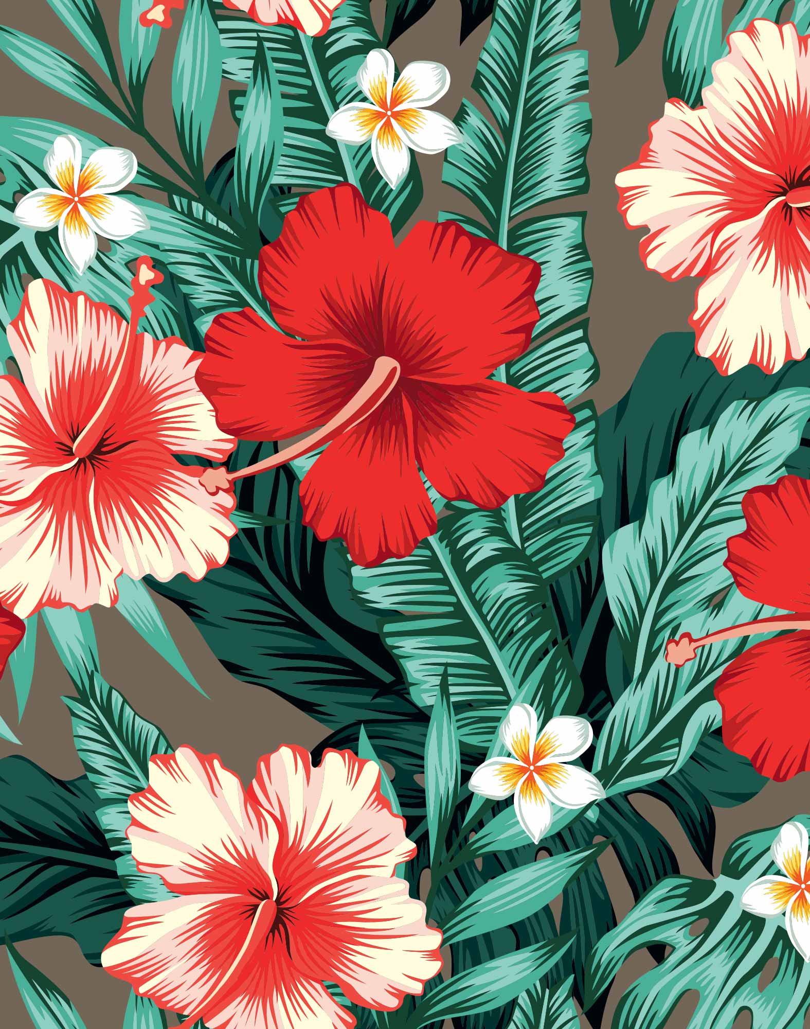 boxer court backdoor PULLIN en lycra