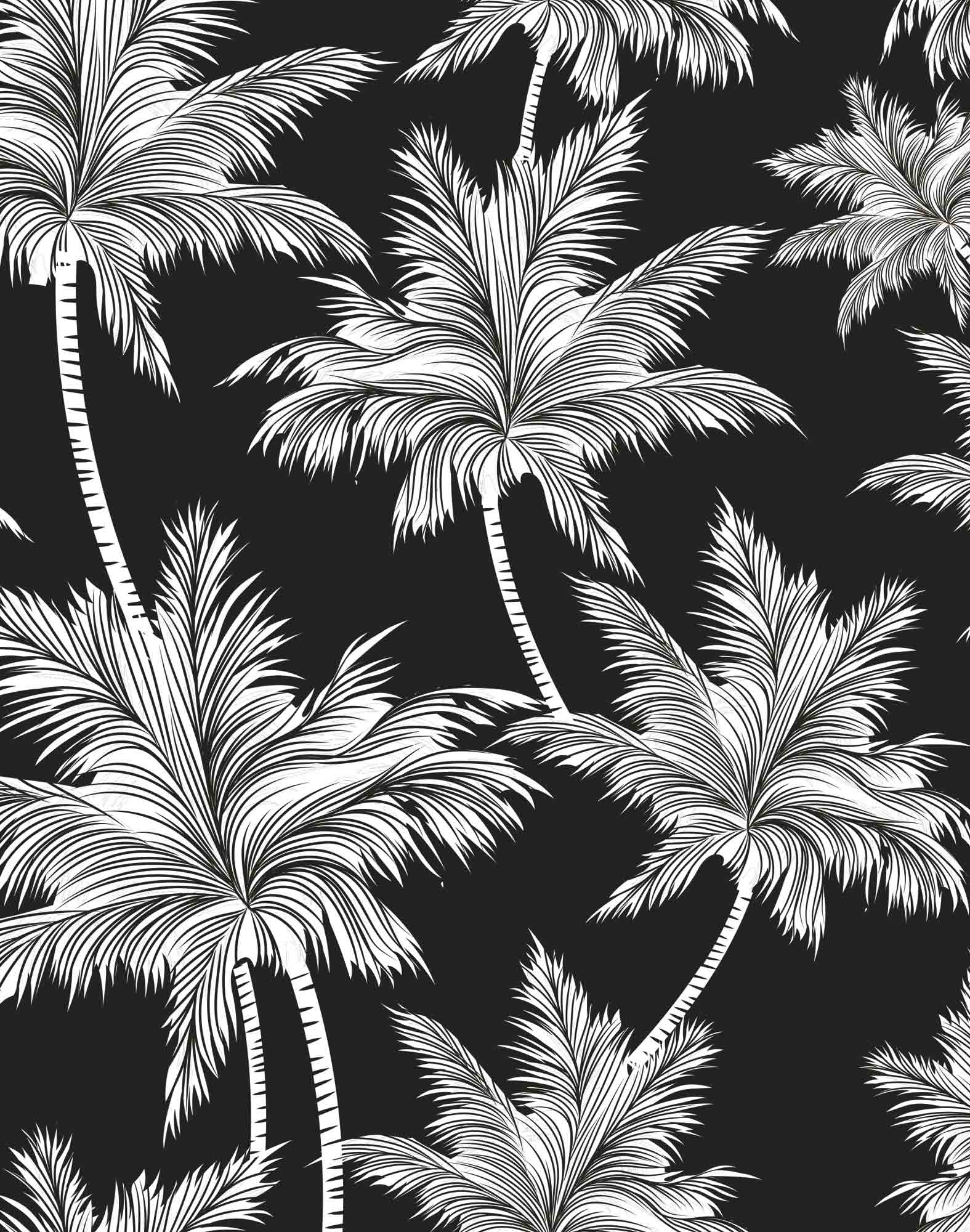 boxer court blackcocon PULLIN en lycra