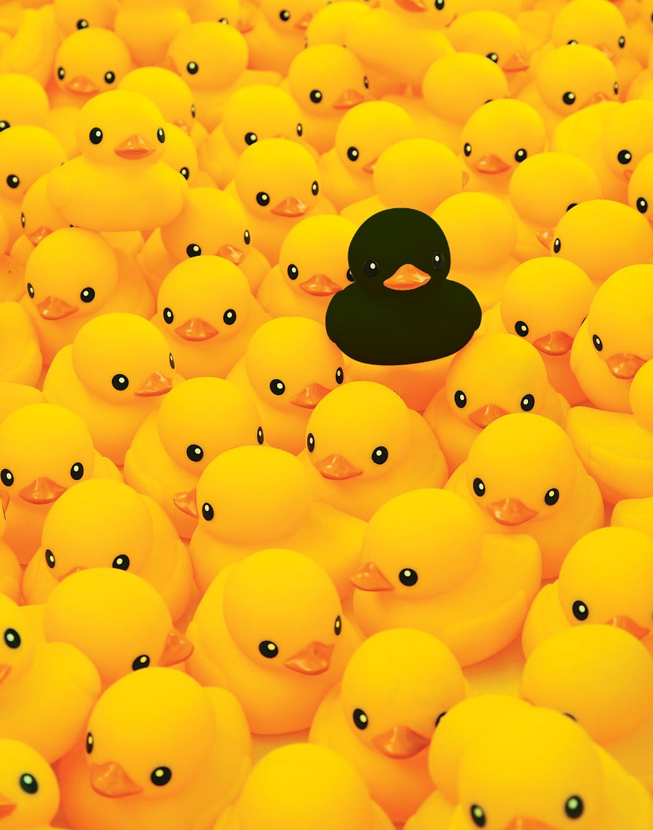 boxer court blackduck PULLIN en lycra