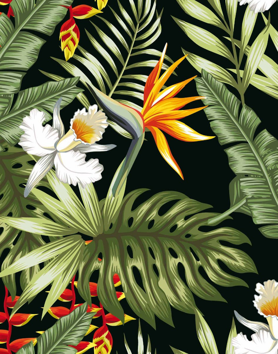 boxer homme boxer court blackjungl PULLIN en lycra