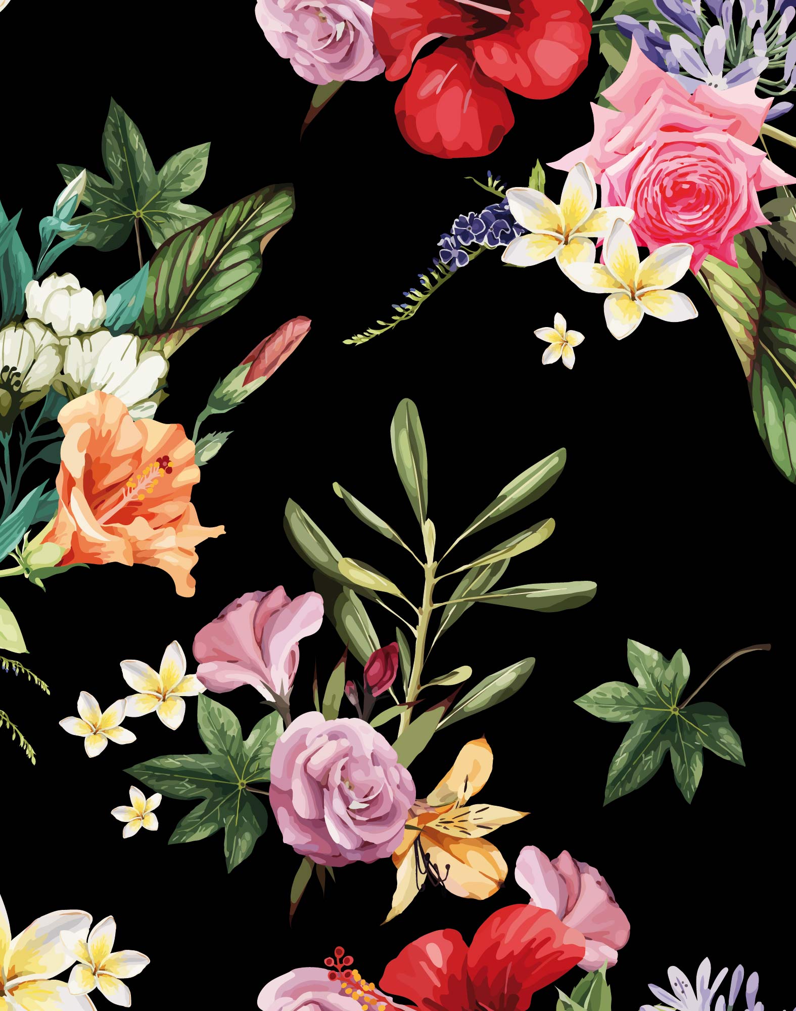 boxer court blackrose PULLIN en lycra