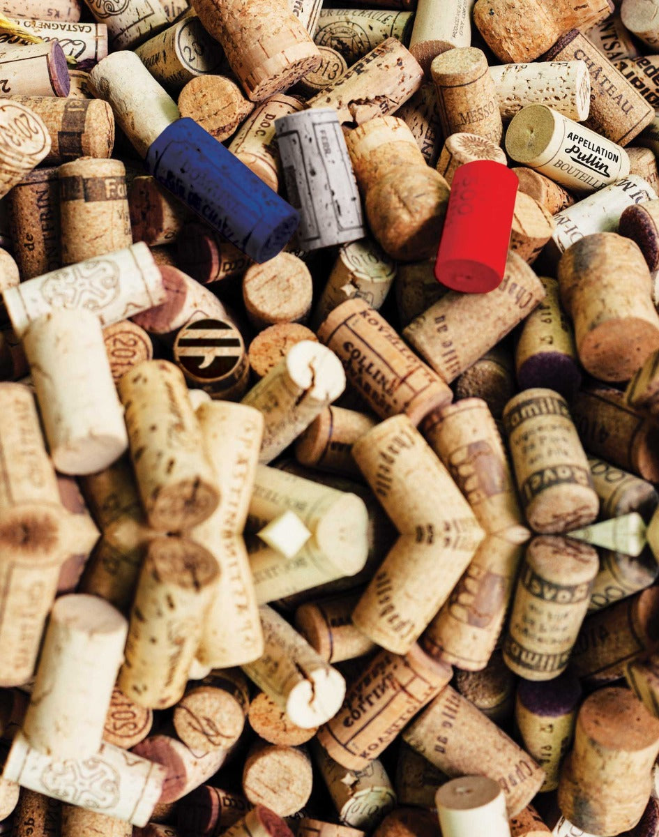 boxer court bouchons PULLIN en lycra