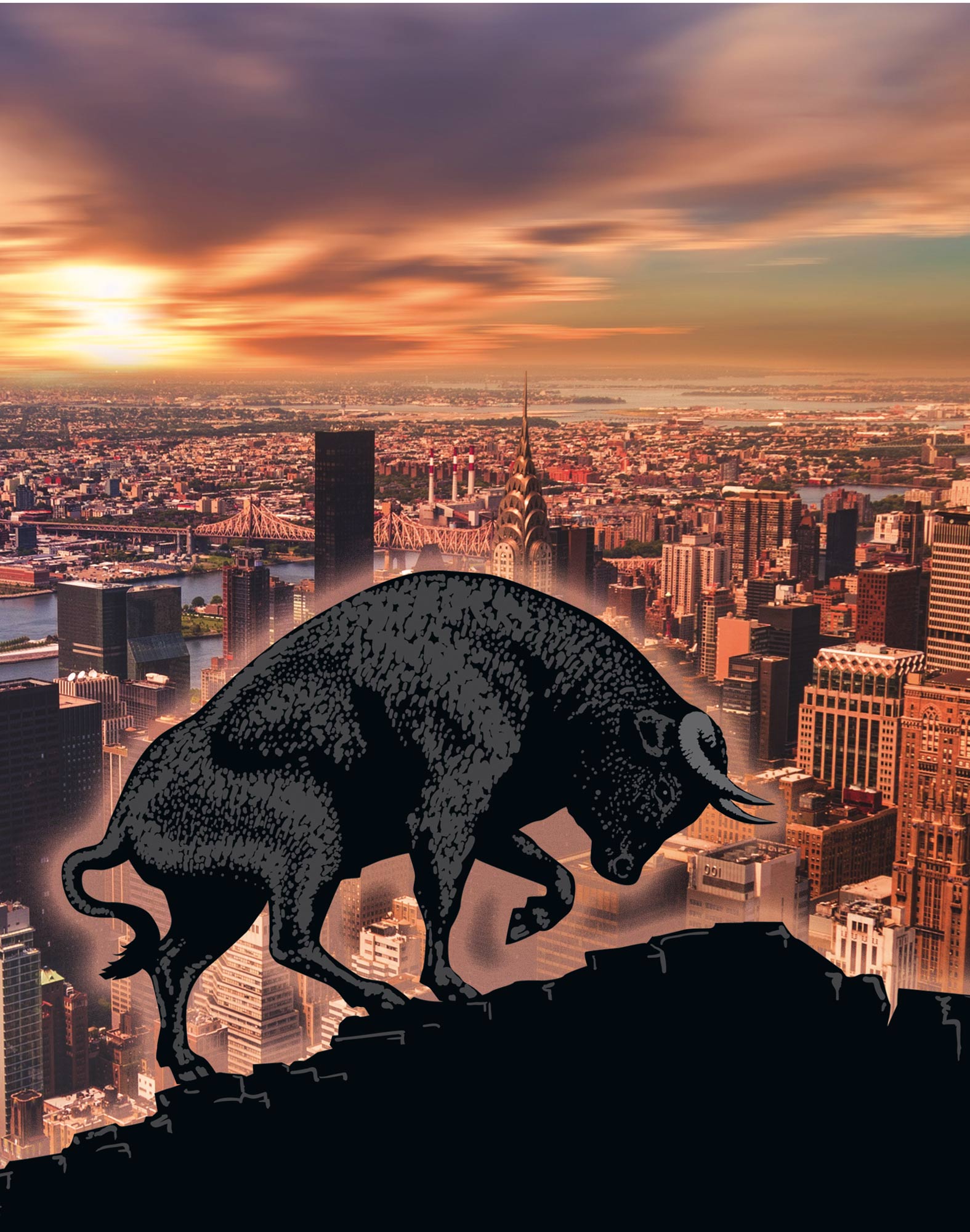 boxer court bullbear PULLIN en polyester