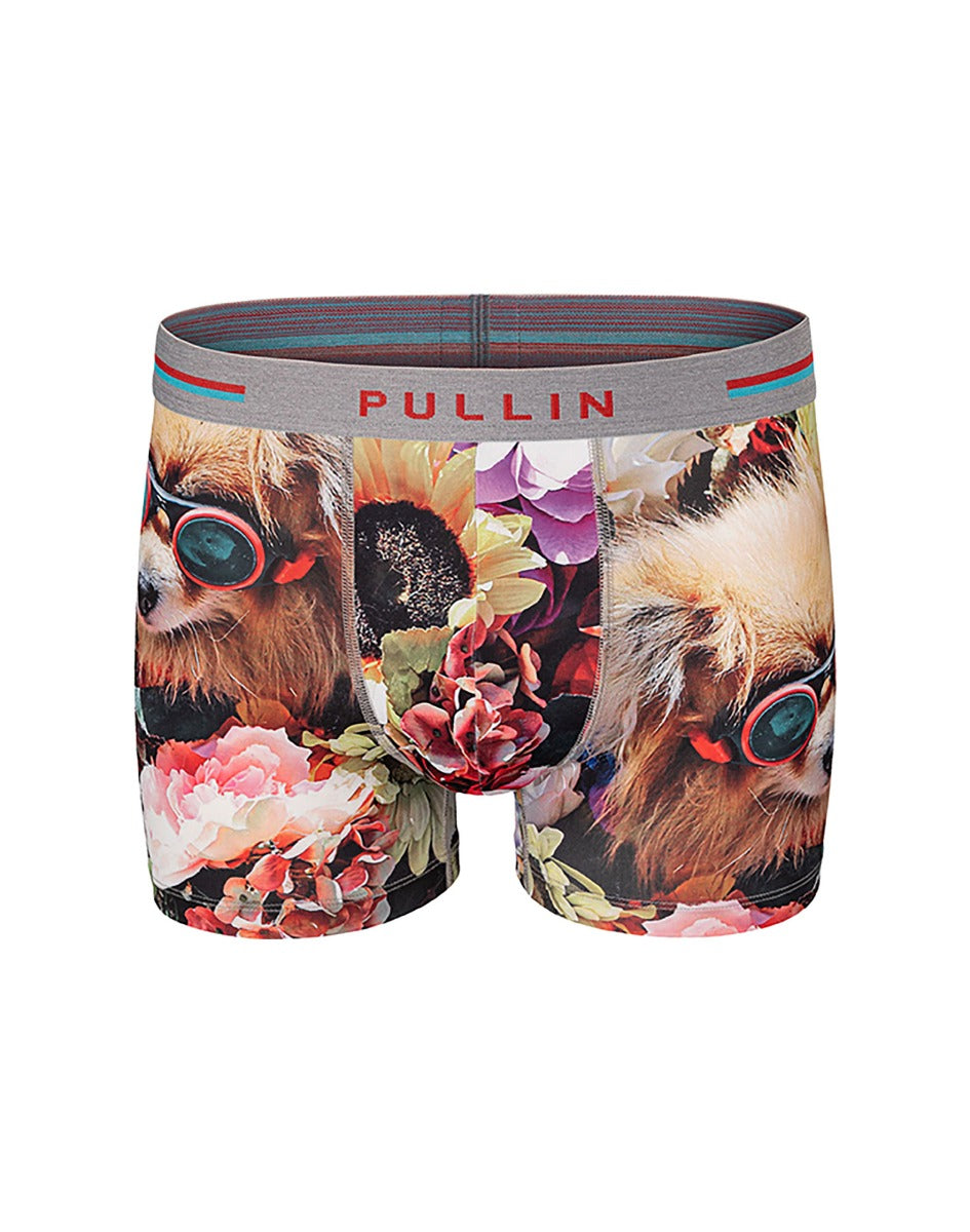 boxer court chiwawa PULLIN en lycra
