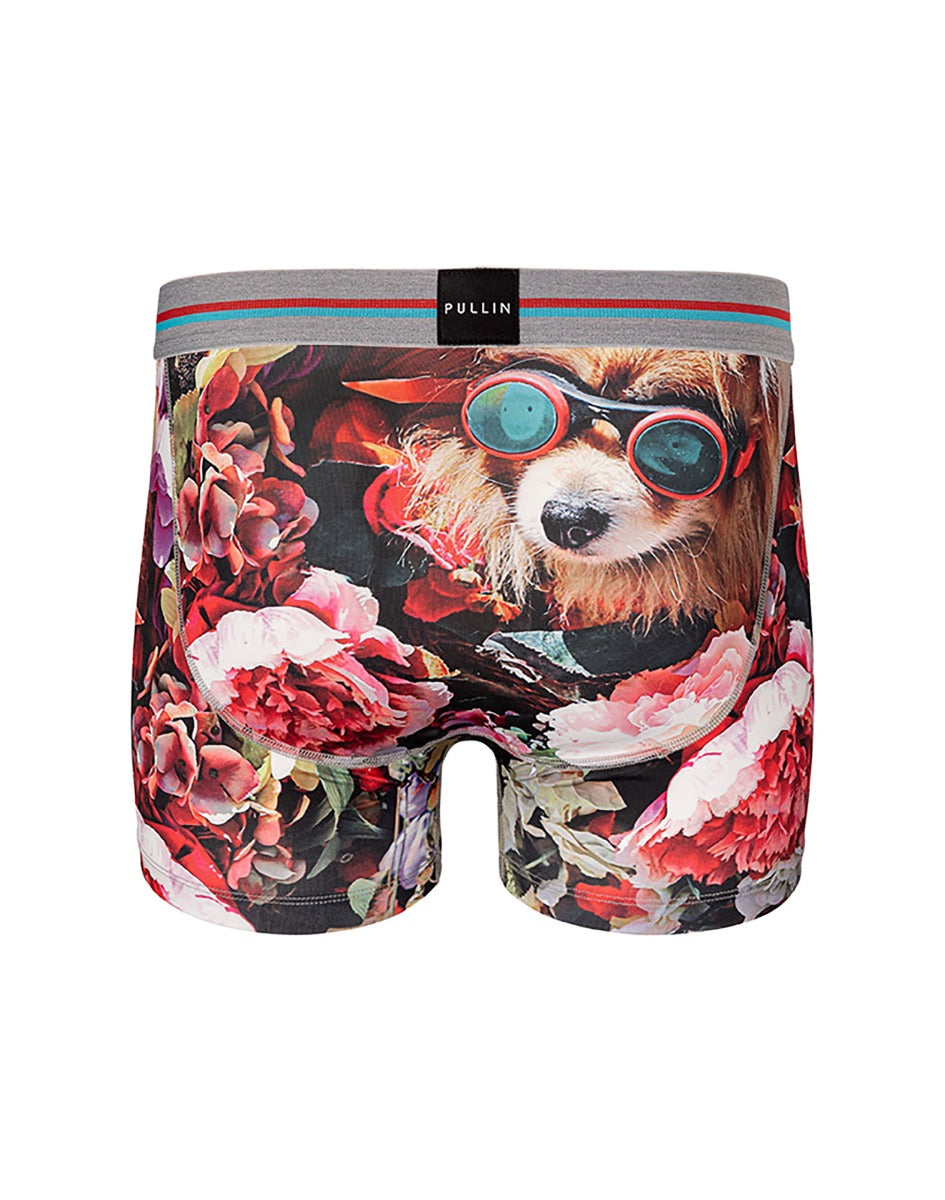 boxer court chiwawa PULLIN en lycra