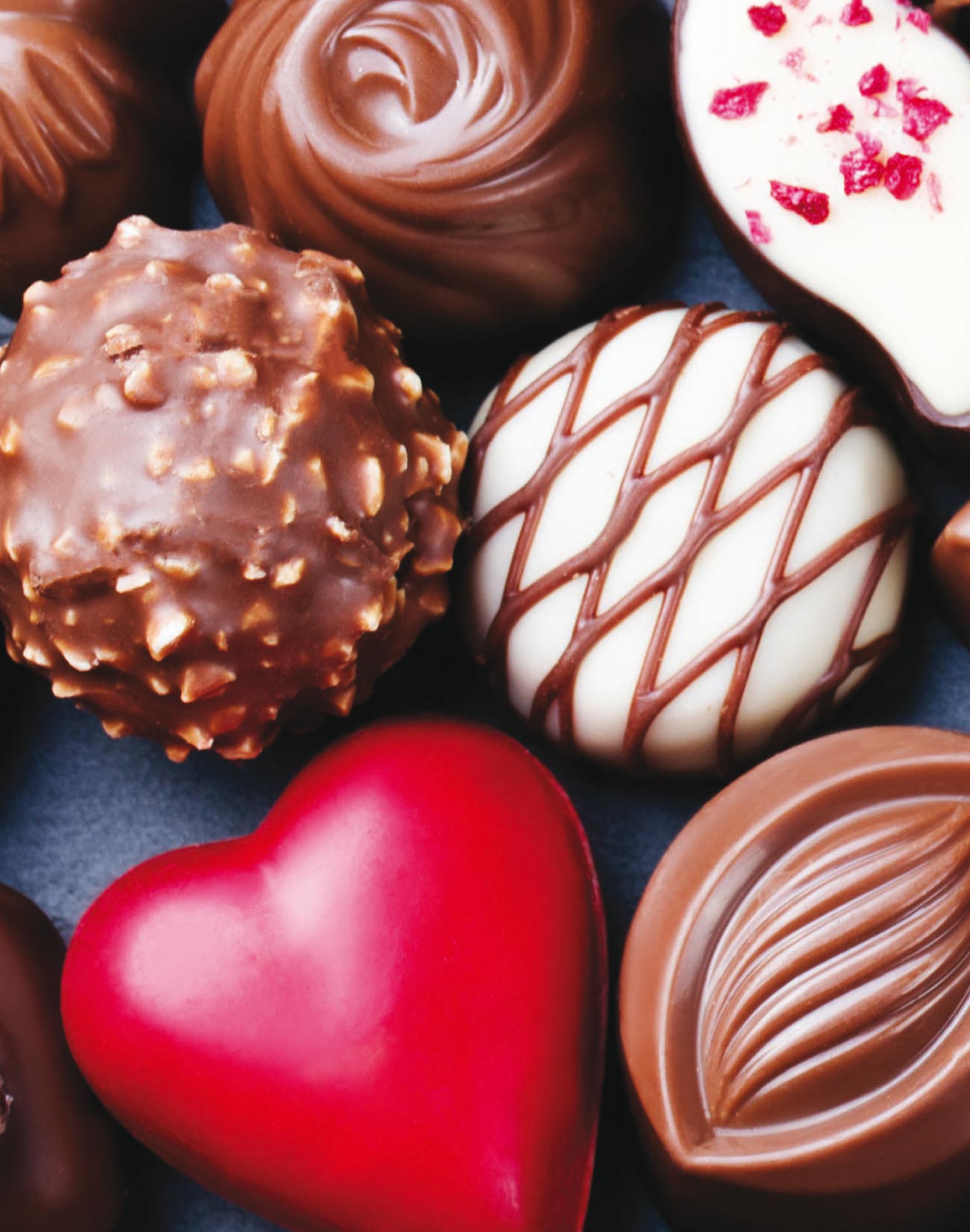 boxer court chocolove PULLIN en lycra