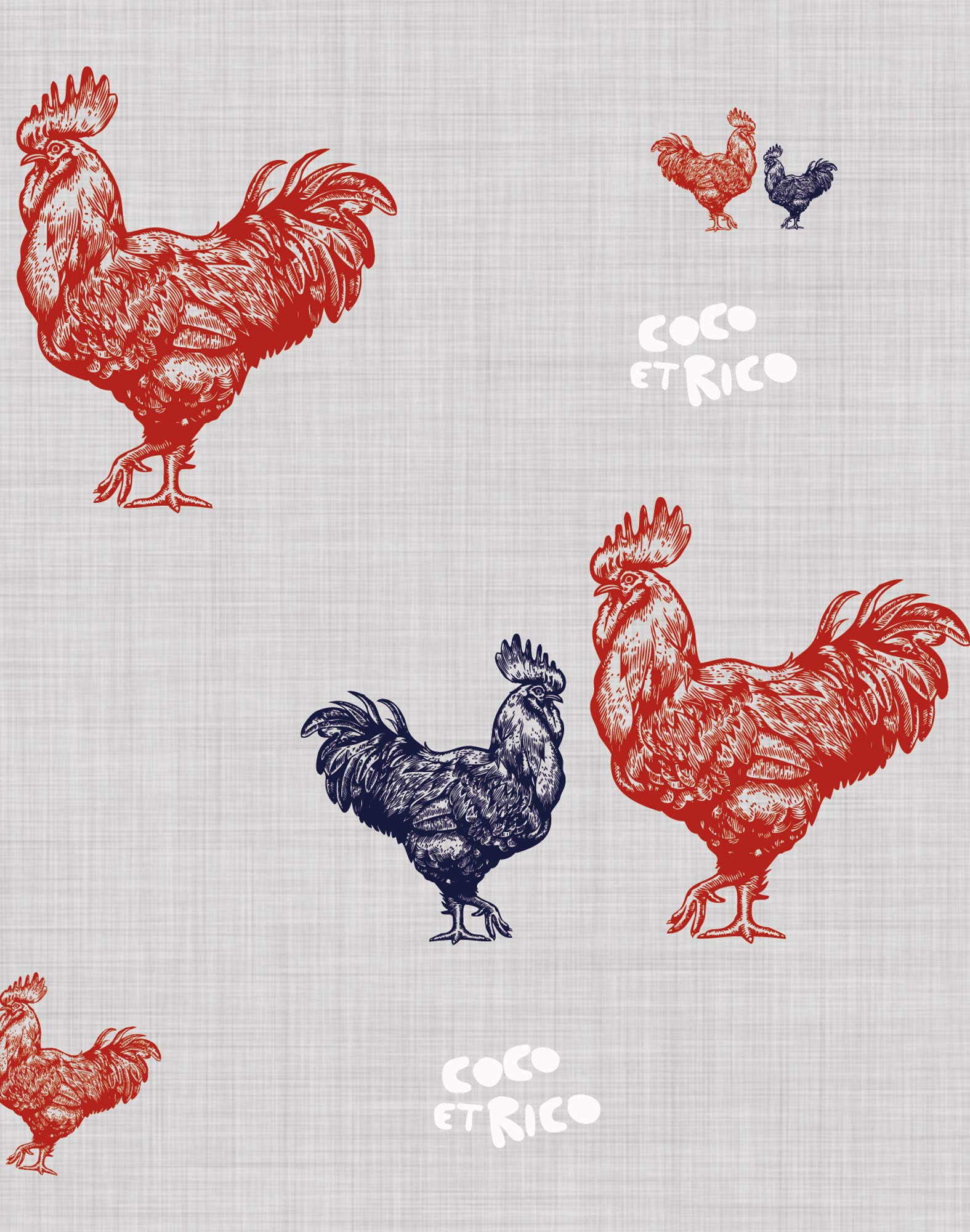 boxer court cocoetrico PULLIN en polyester