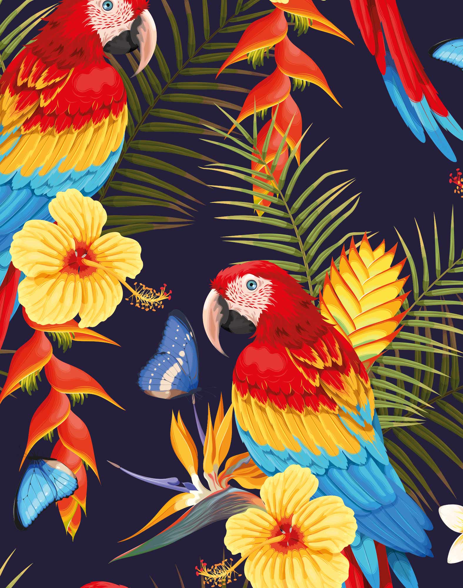 boxer court colorfull PULLIN en lycra