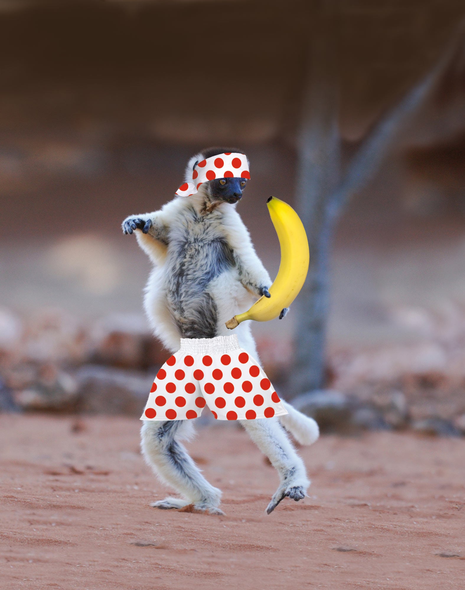 boxer court combattant PULLIN en polyester