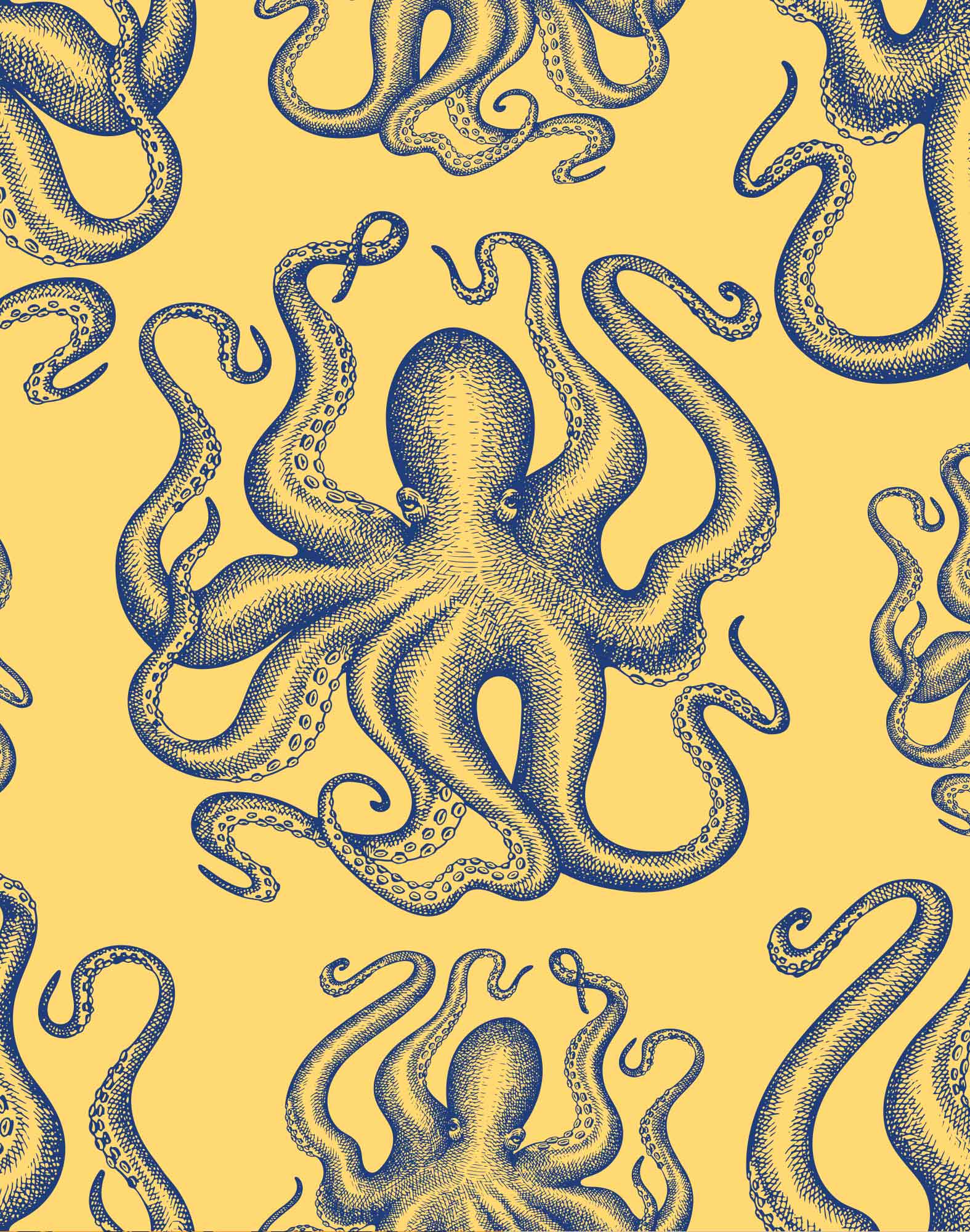 boxer court emprise PULLIN en lycra