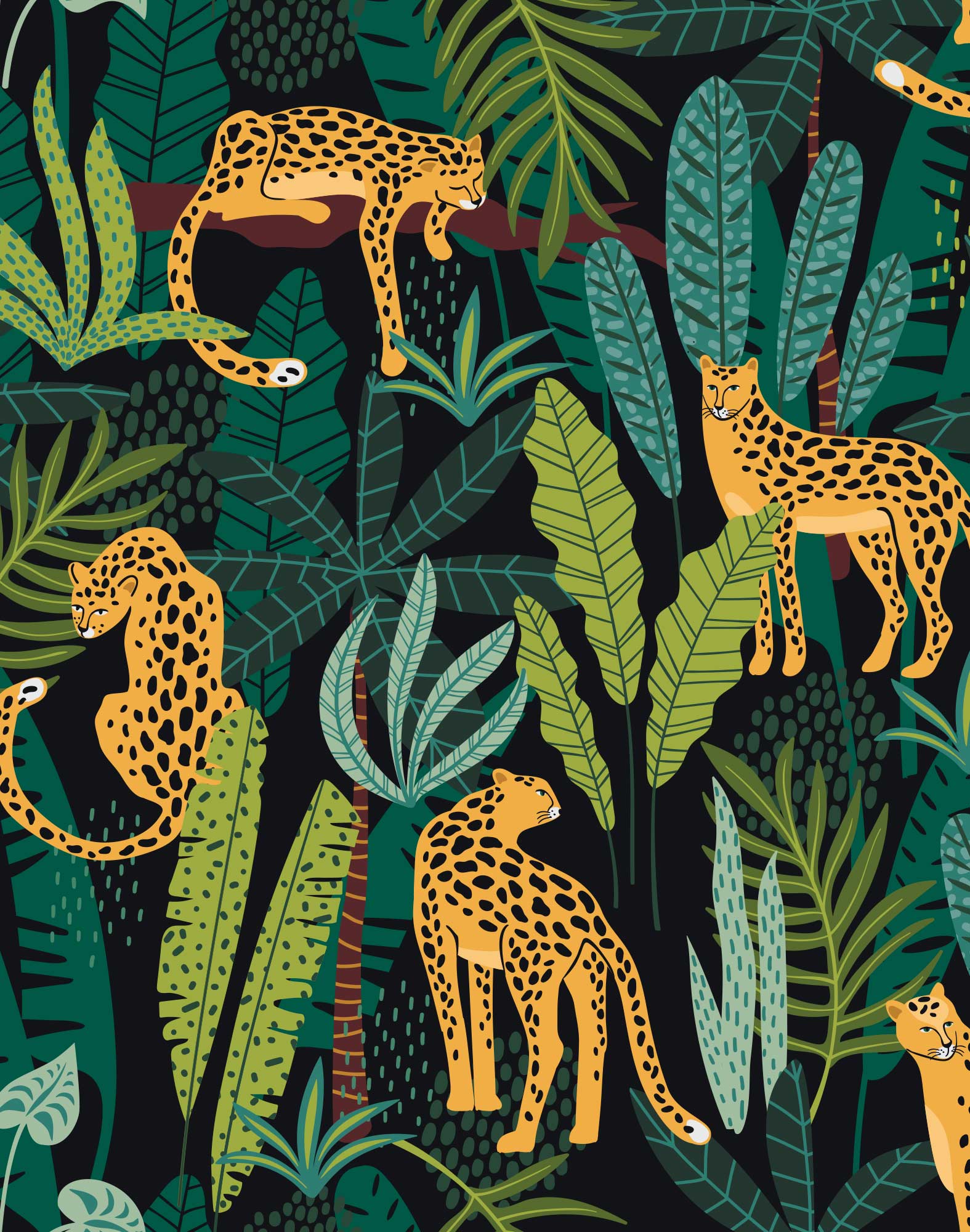 boxer court feline PULLIN en lycra