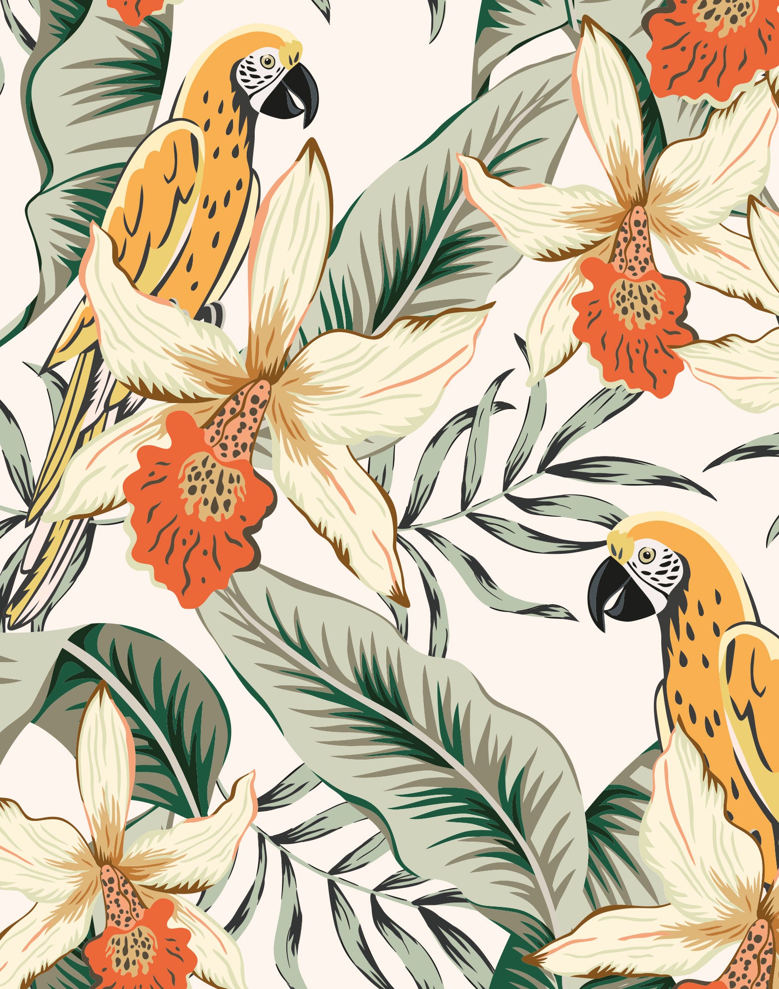 boxer court giffy PULLIN en lycra