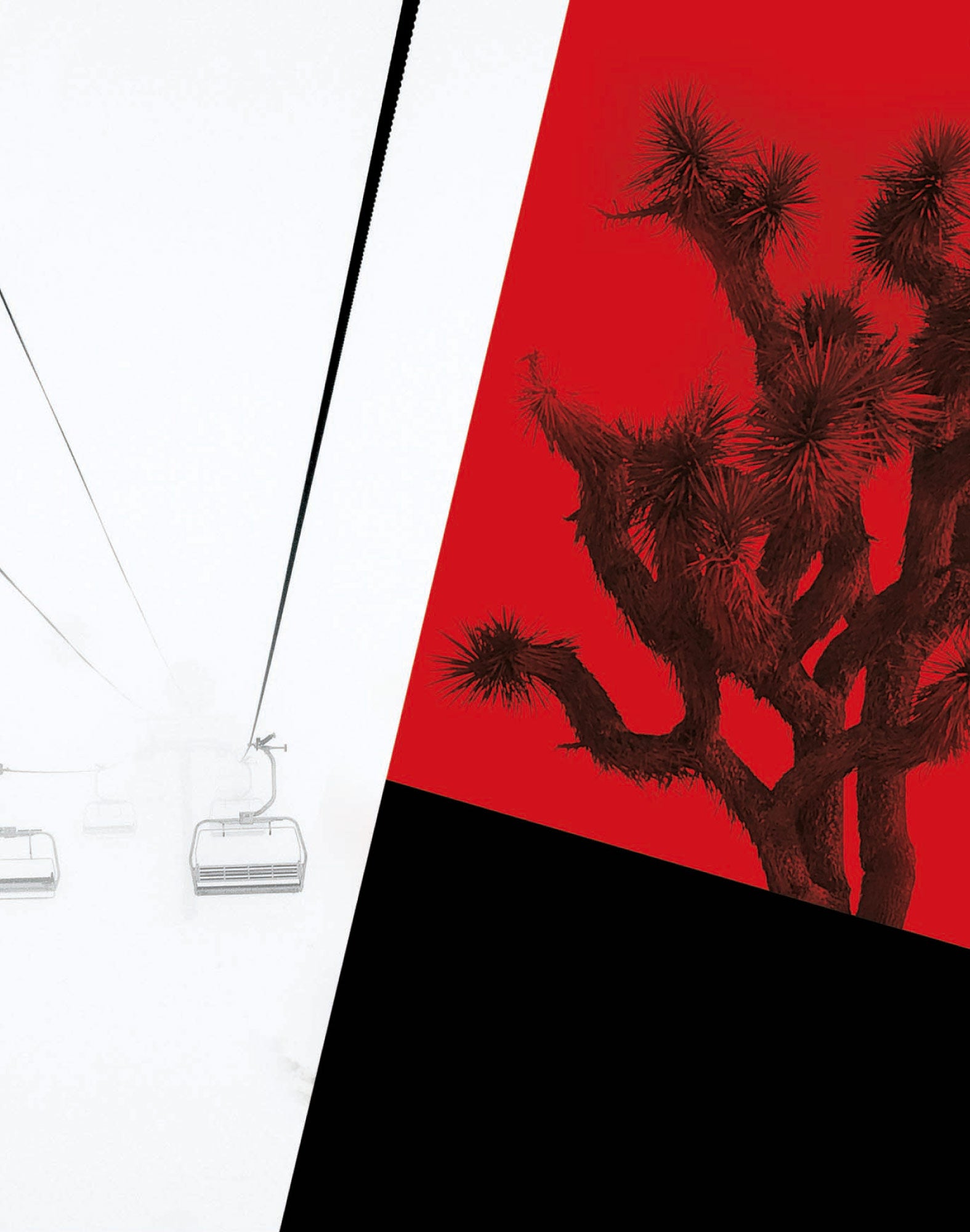 boxer court jourblanc PULLIN en lycra