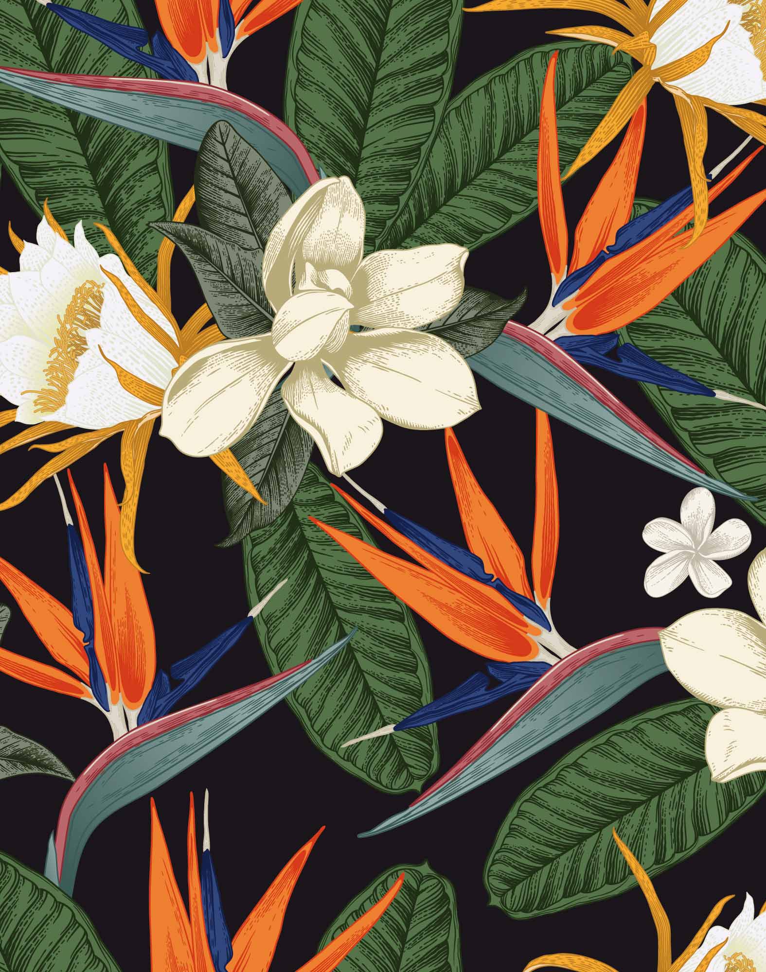 boxer court magnolia PULLIN en lycra