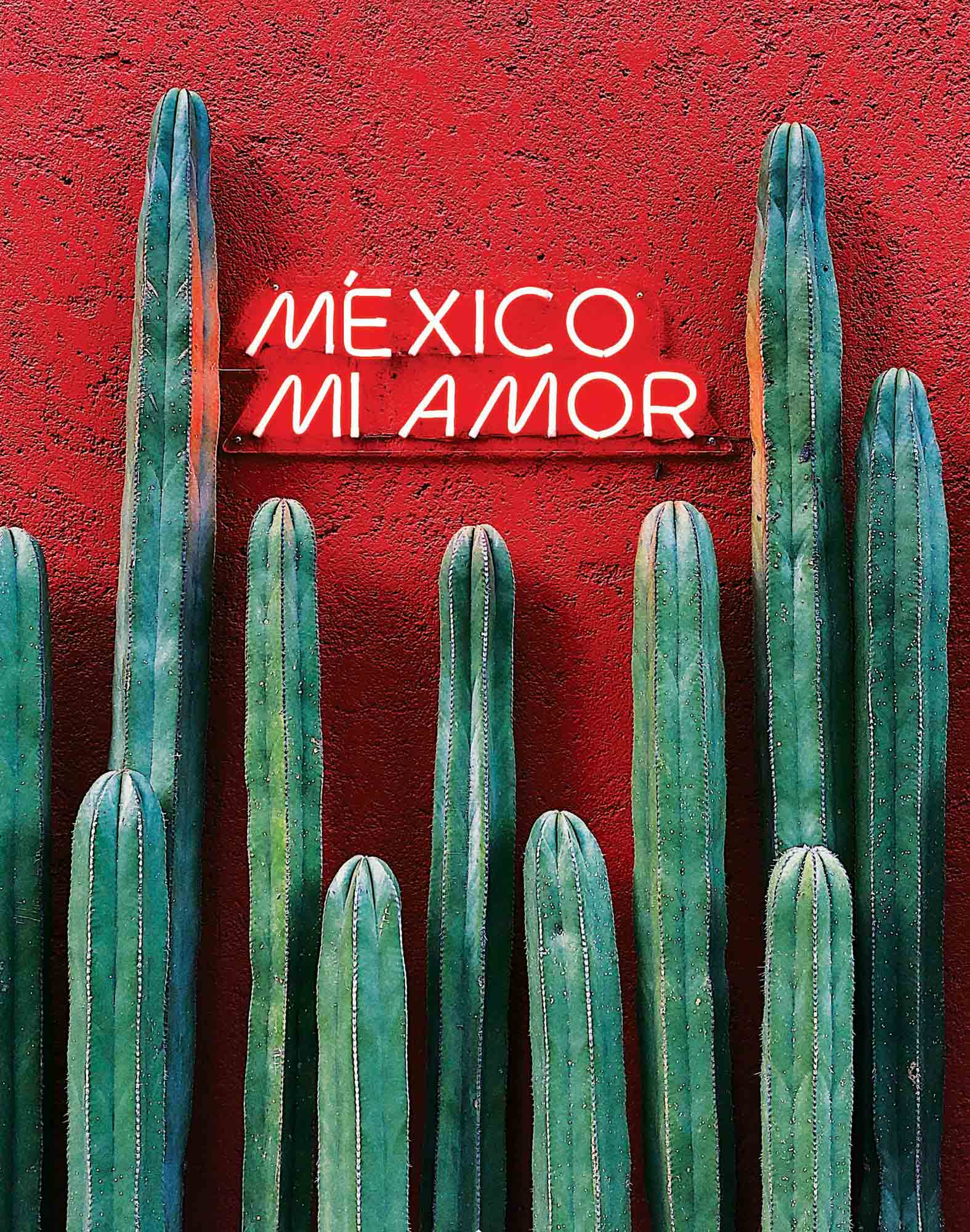 boxer homme imprimé boxer court mexicoamor PULLIN en lycra