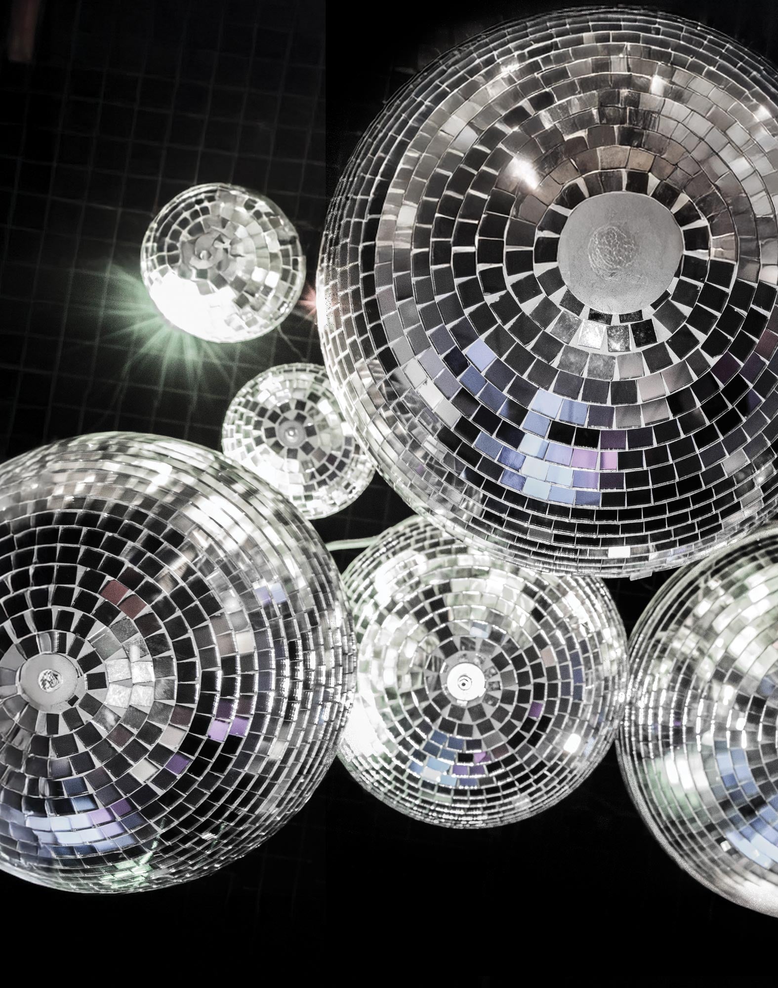 boxer court neweve PULLIN