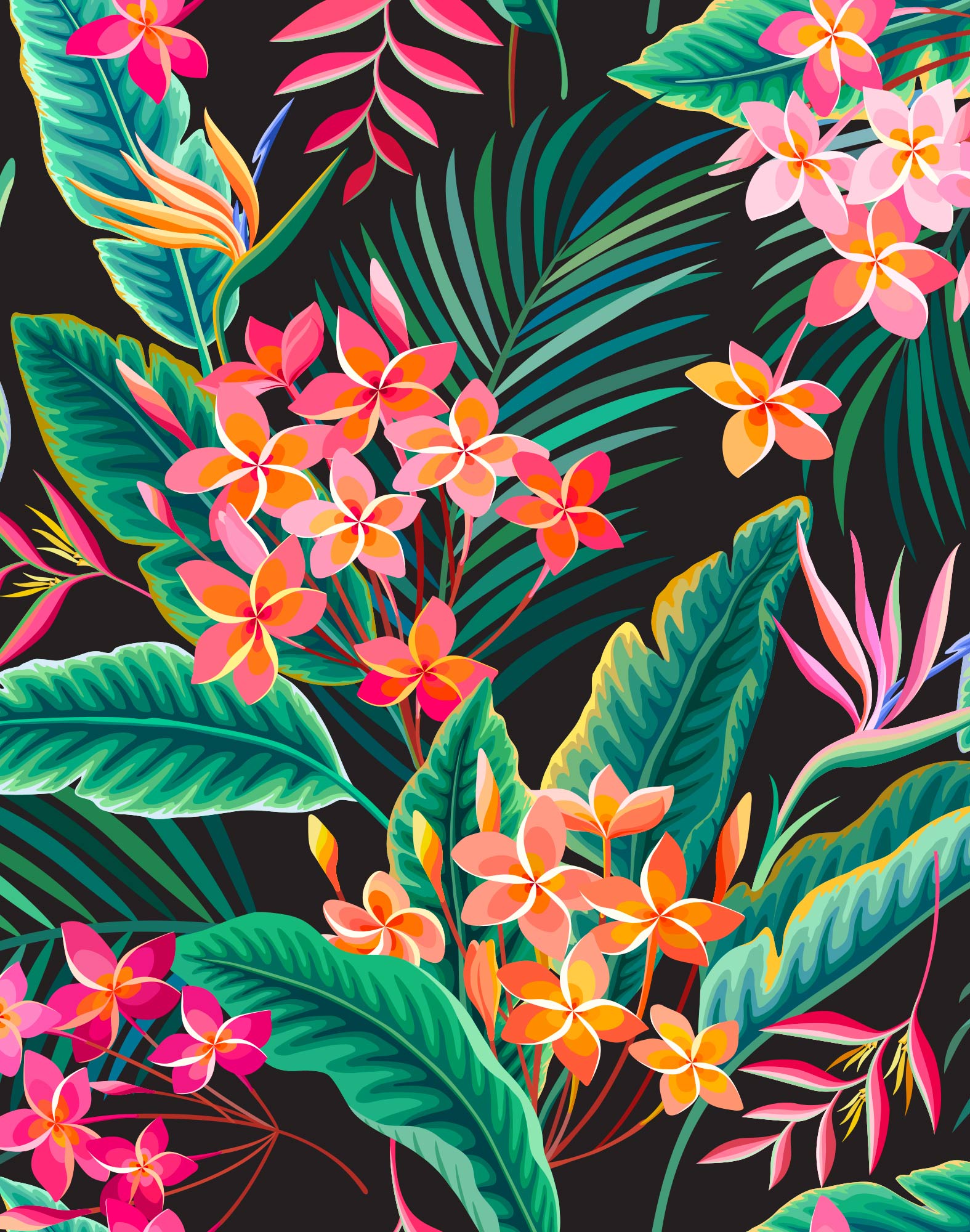 boxer court palapala PULLIN en lycra